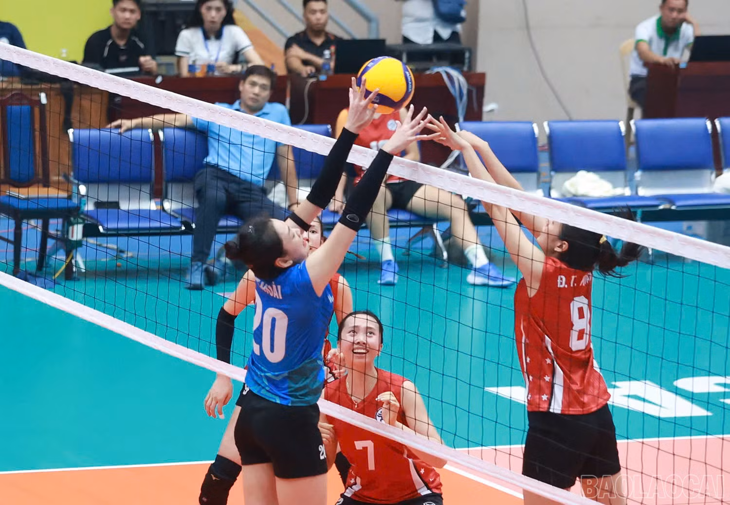 baolaocai-br_z6032501535512-f9de80fdcfc44a521258d08649321fb4.jpg