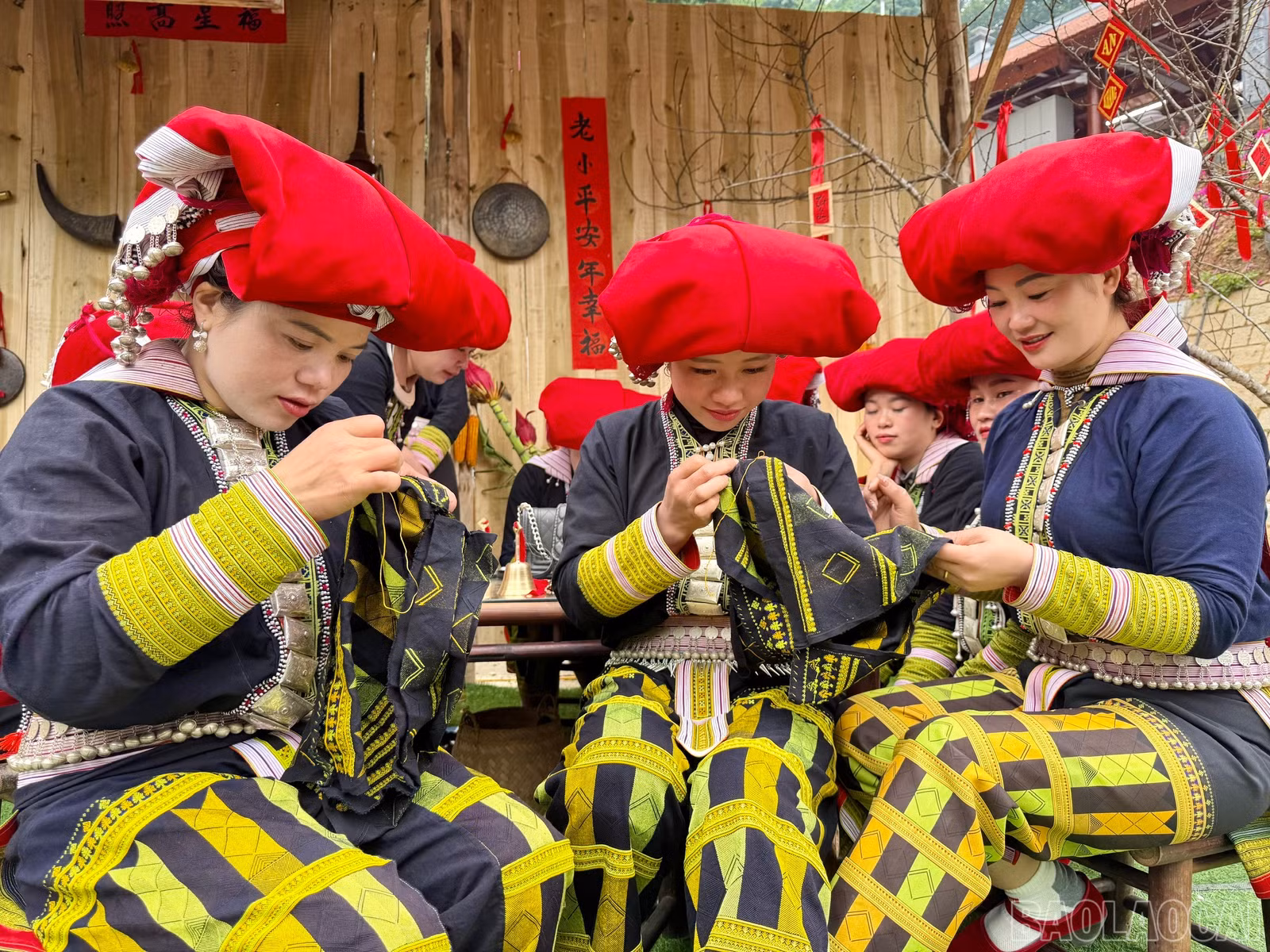 baolaocai-br_z6311179033905-747f69ecf05a59d09acd31653f992e0b.jpg