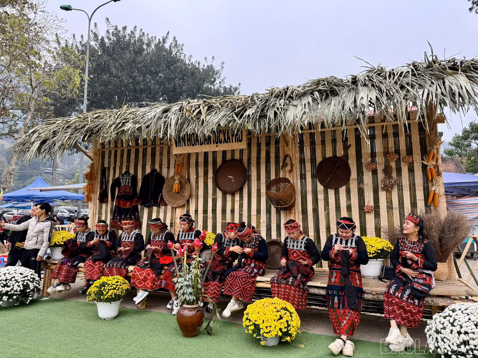 baolaocai-br_z6311182701945-6ed6da16ea08b7c6c4ff33b23de86f32.jpg