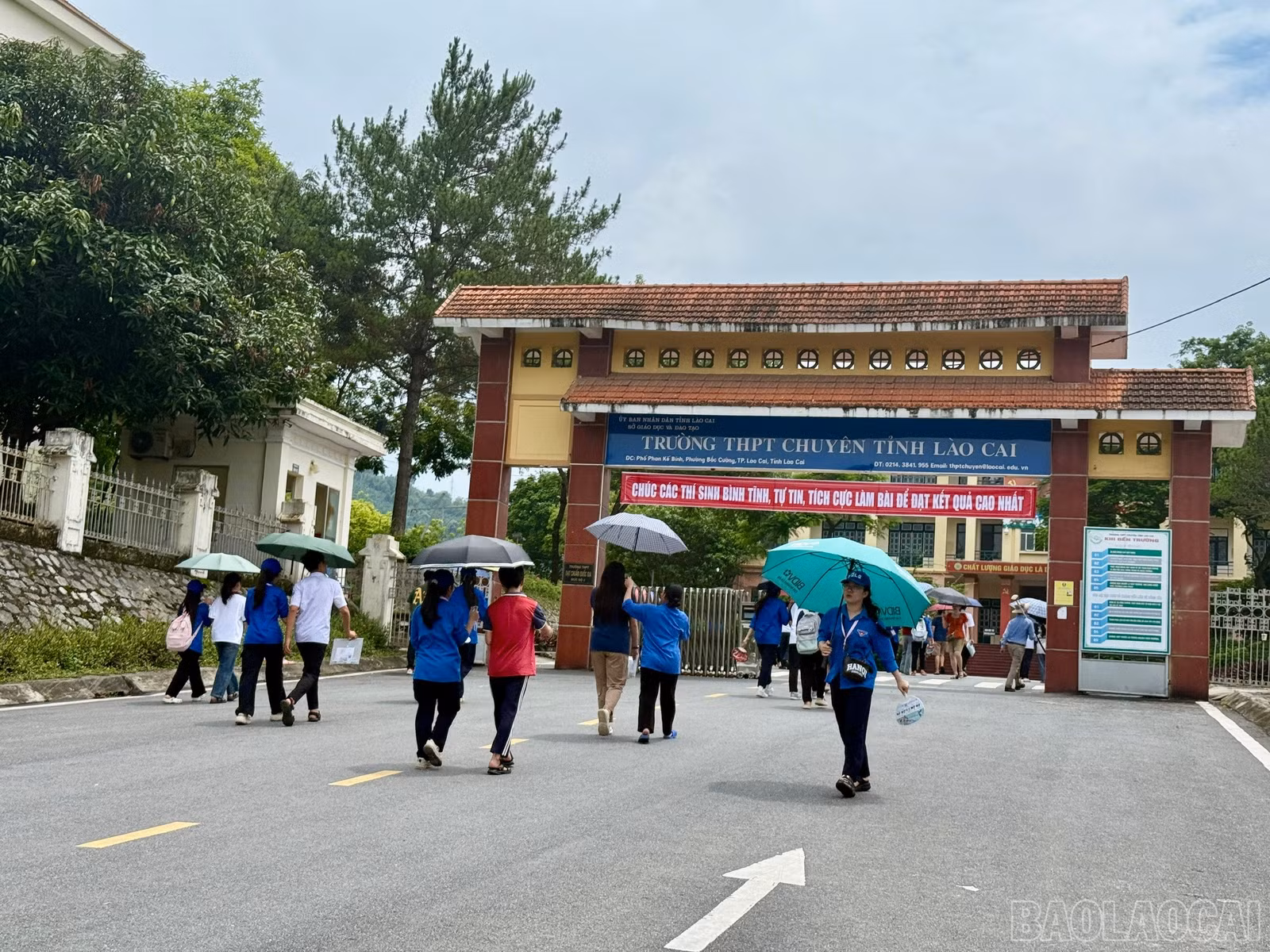 baolaocai-br_z6675491568192-02bddf6632296f10354378f0696869e9.jpg