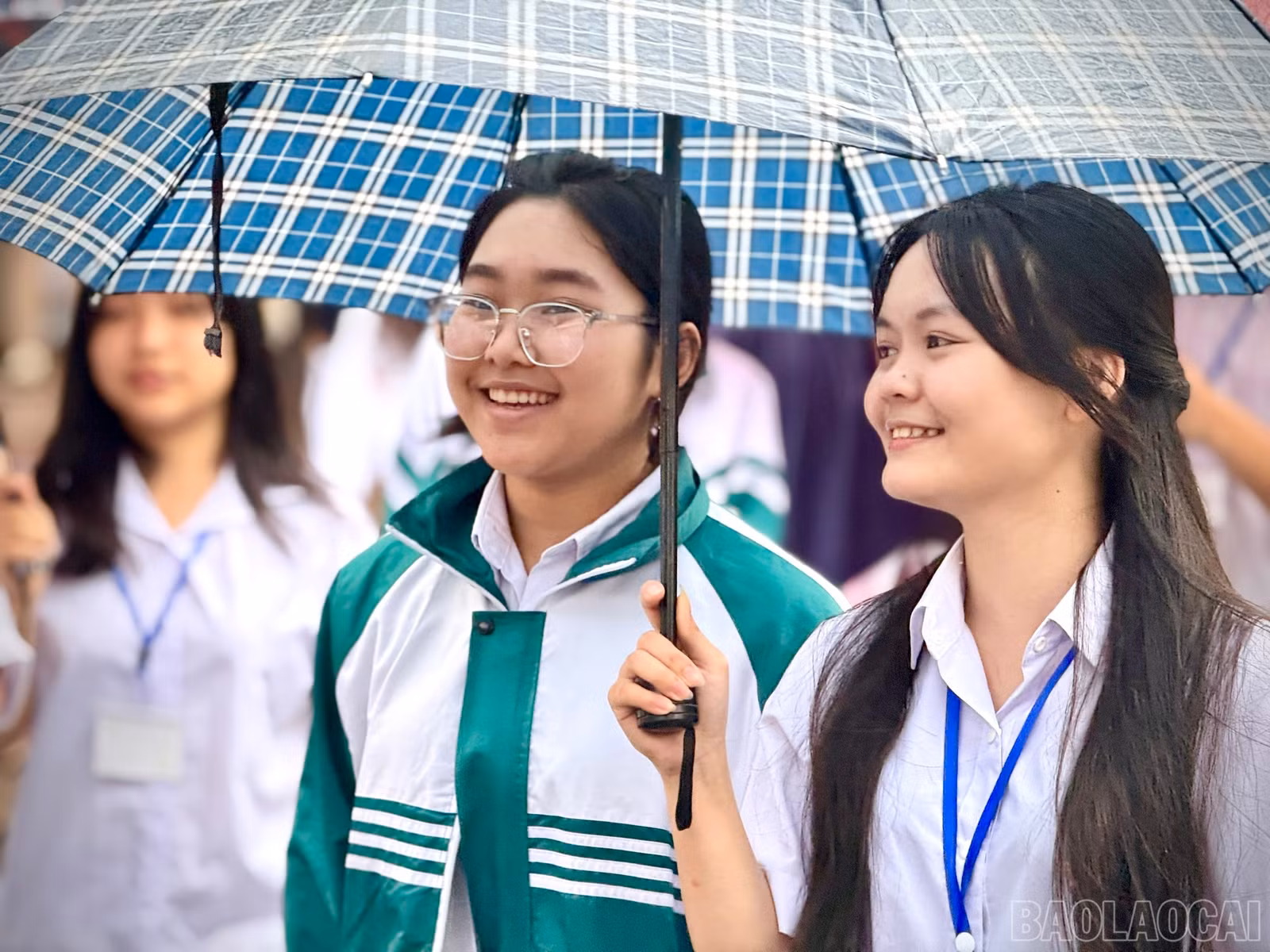 baolaocai-br_z6673590386873-883bc88438c86bf9b6f1d9ceed790c3d.jpg