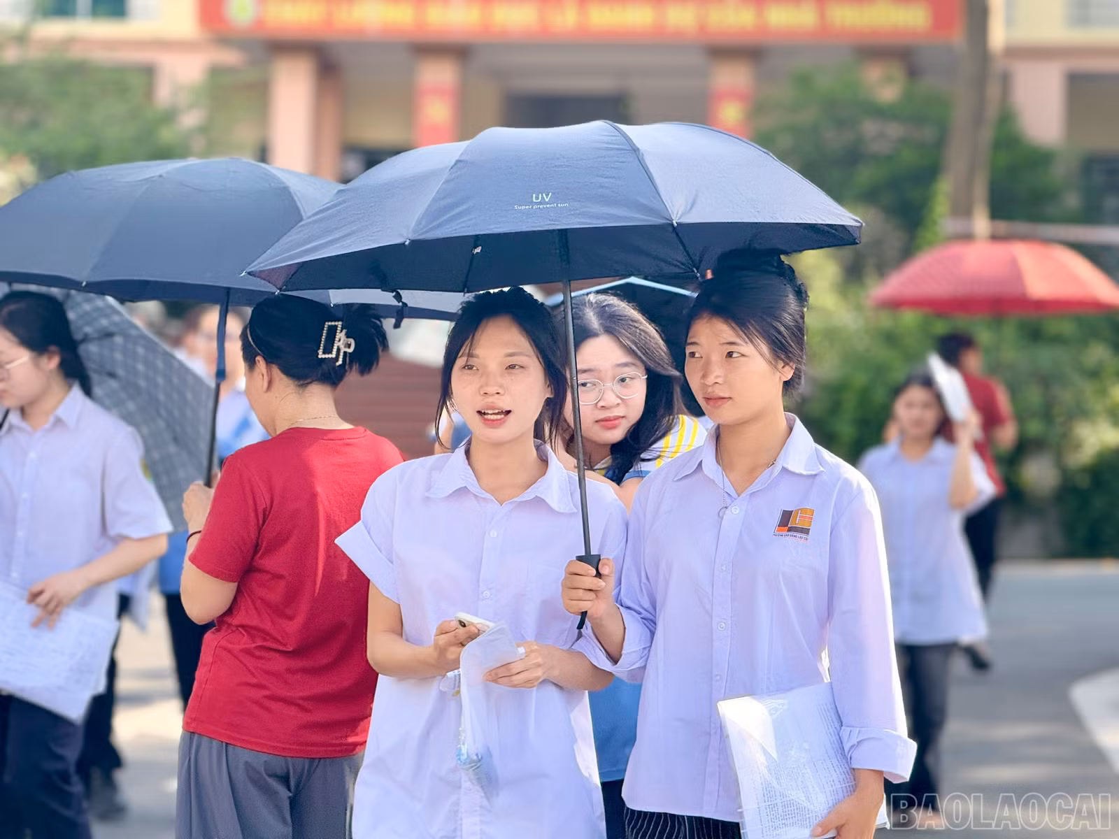 baolaocai-br_z6744842143755-6c57b7ed8f57c3376472e92329cfe5ab.jpg
