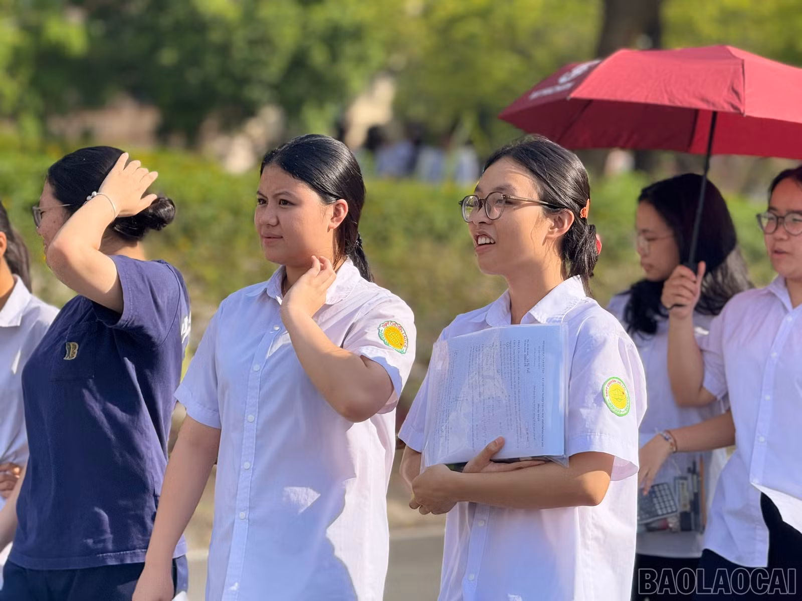 baolaocai-br_z6744844914079-b82a4f0e0b6ca59d6ed2798473c2d7d4.jpg