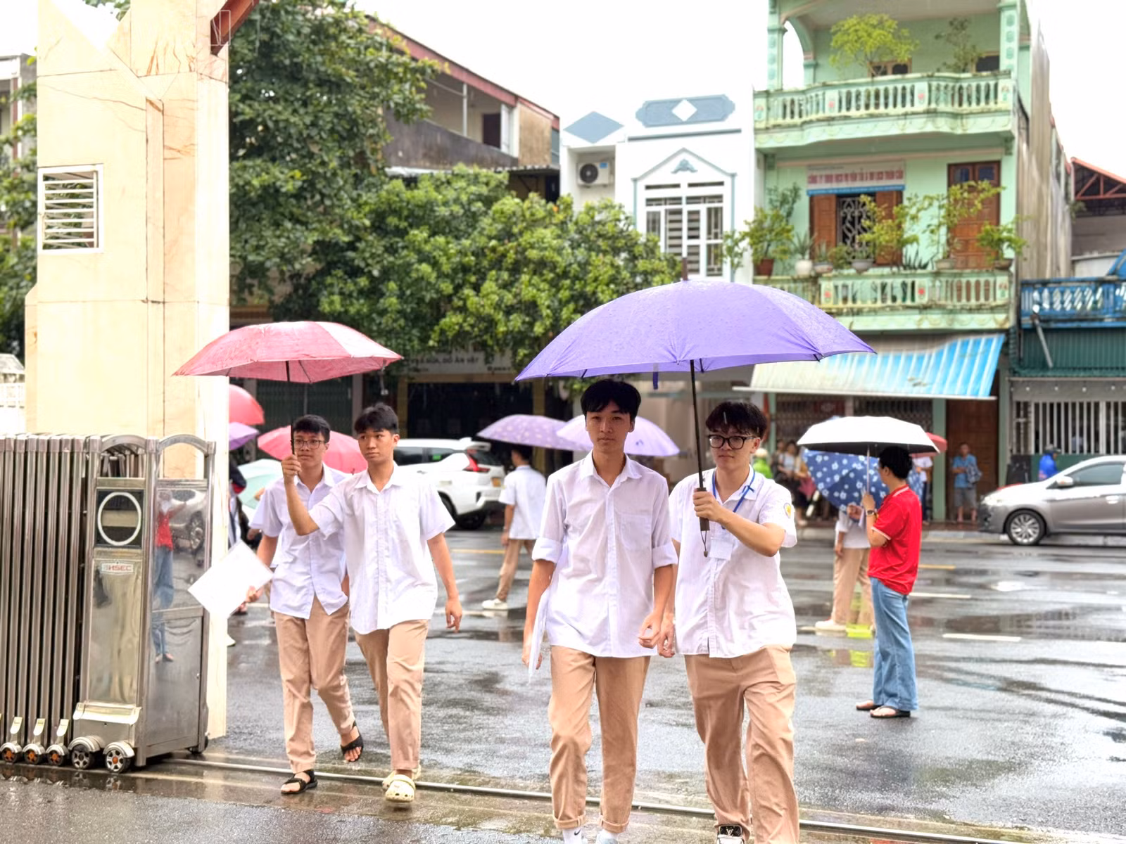 baolaocai-tl_z6743427857243-f3264e8abff0298b54e94ee231d257a5.jpg