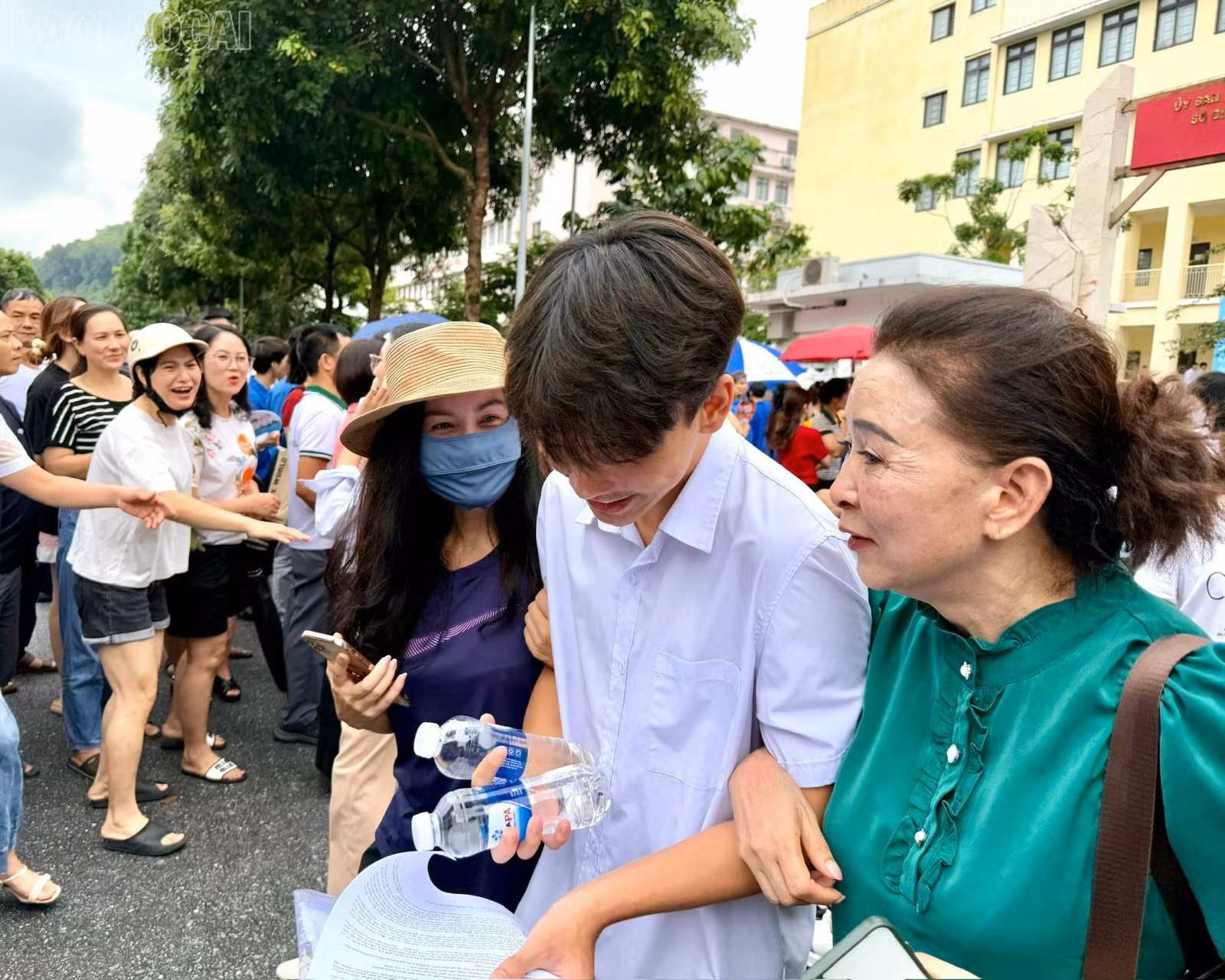 baolaocai-tl_z6743432707954-d7903a046209ebc15a8a73d0c99be6ee.jpg