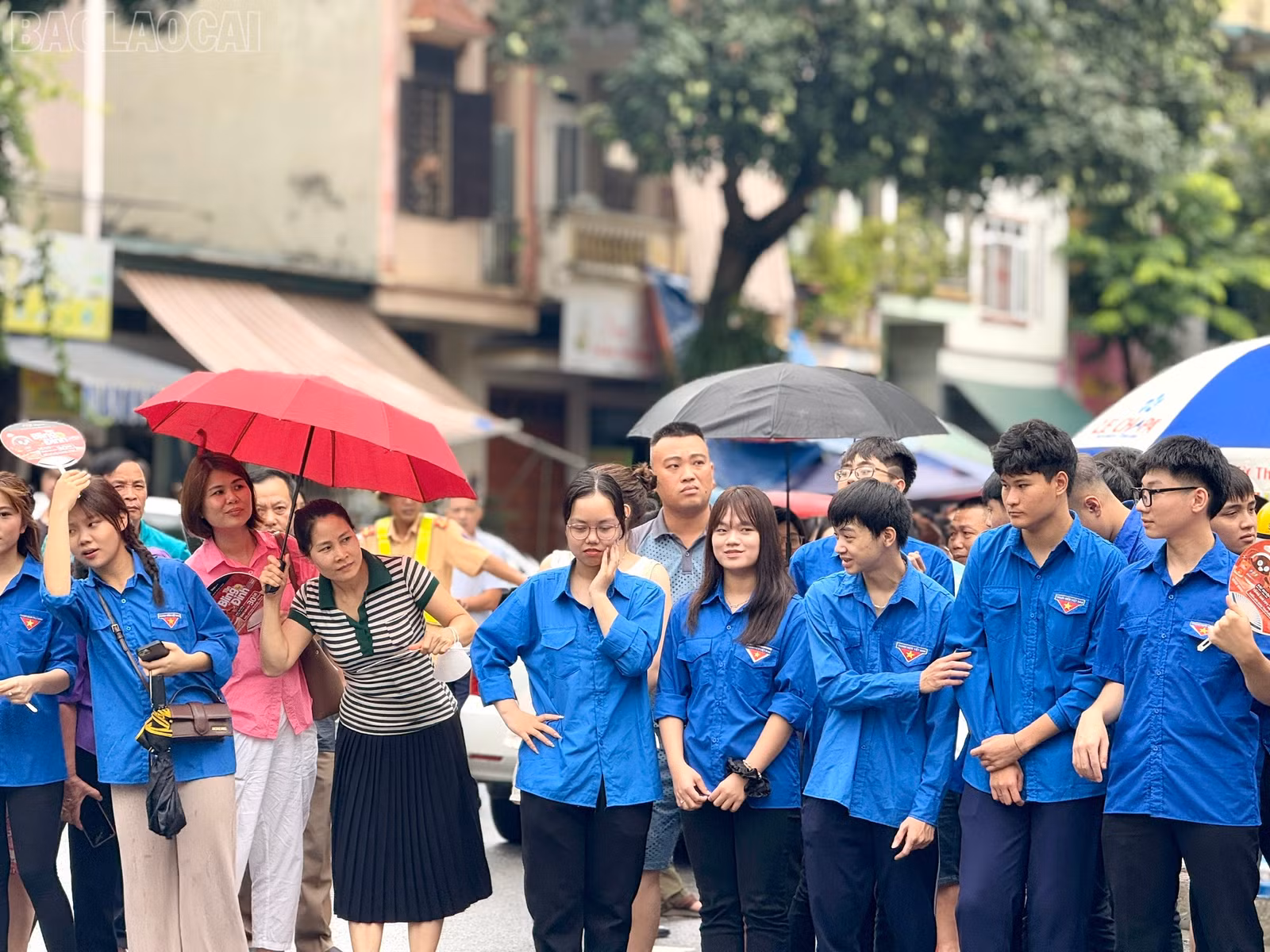 baolaocai-tl_z6744102291932-806b0453cc3b536ea2b4e15c57232fa4.jpg