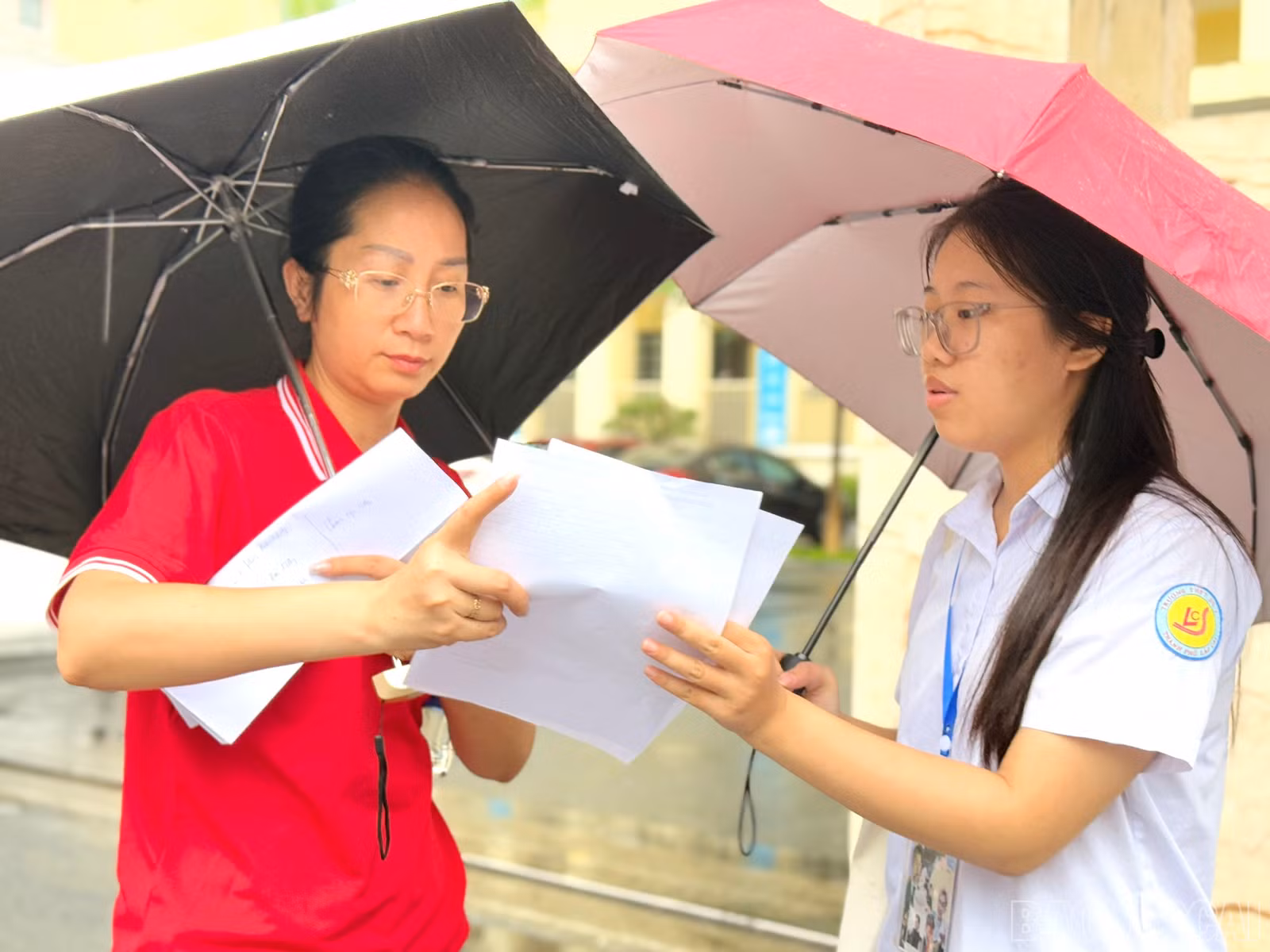 baolaocai-br_z6742690186553-cdca6467e7187255231d9447a7e7040e.jpg