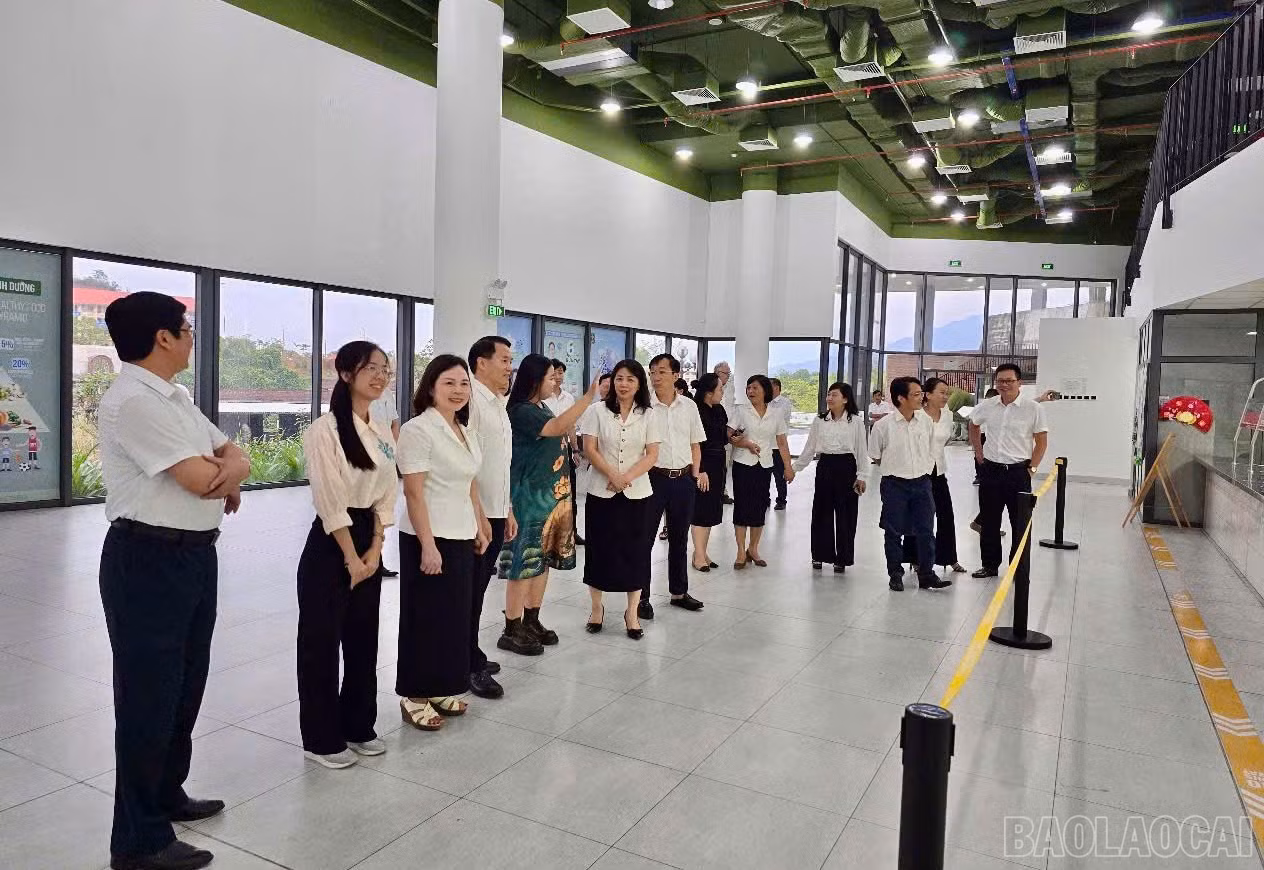baolaocai-br_z6635807662392-8d0c6c76dc5286da1e7a051d1b1715ce.jpg