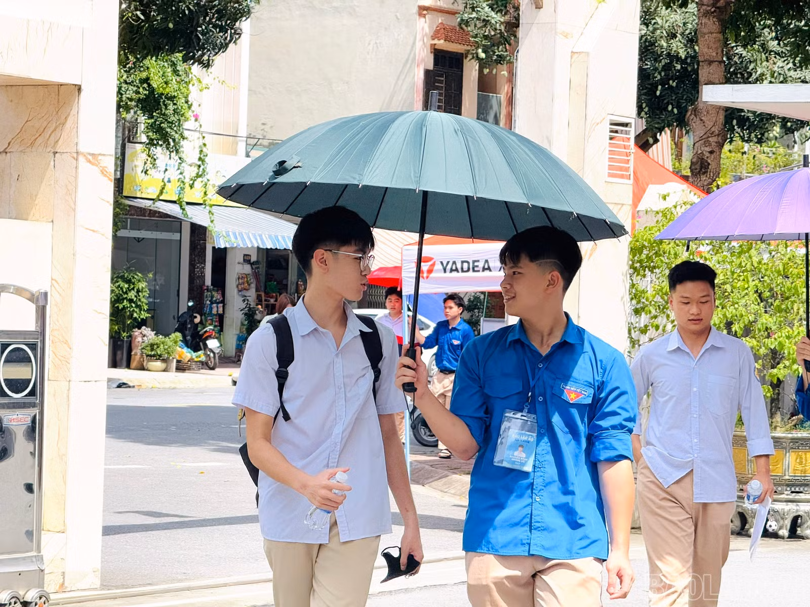 baolaocai-br_z6741300826749-0a7f534976ce3ef454c19c809dc03004.jpg