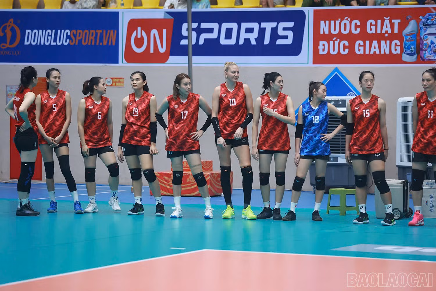 baolaocai-br_z6016451028949-37e13ff77ebd2d16be3e97600df310d2.jpg