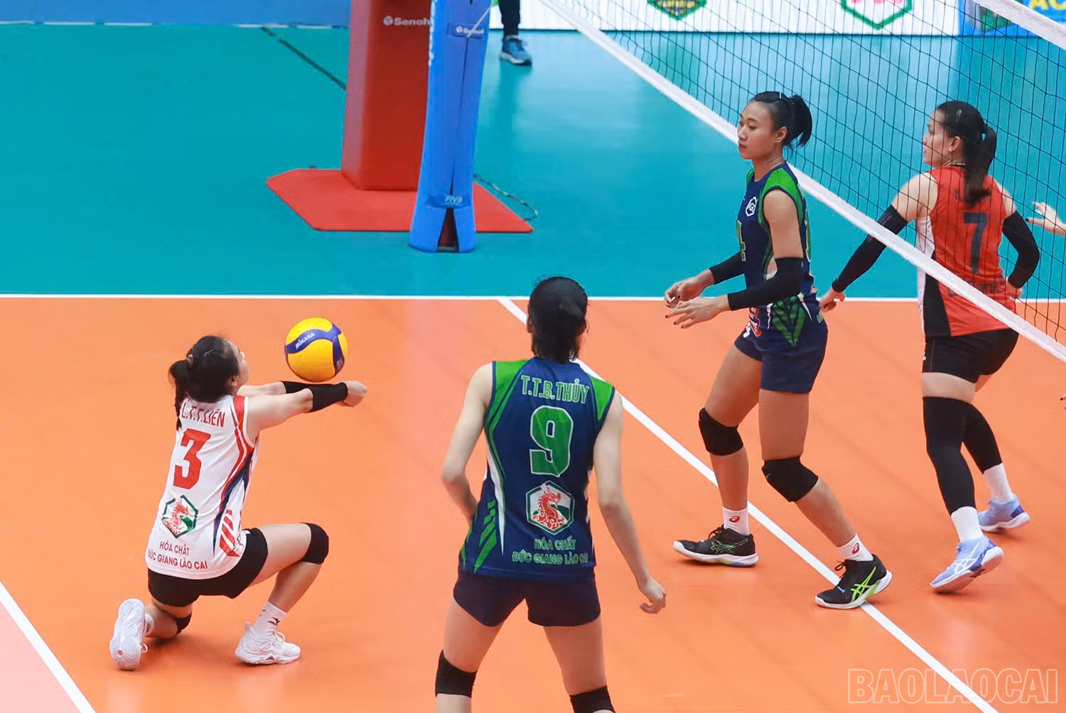 baolaocai-br_z6015953471572-8cc5ed89ef45b2313c30c8cb38951278.jpg