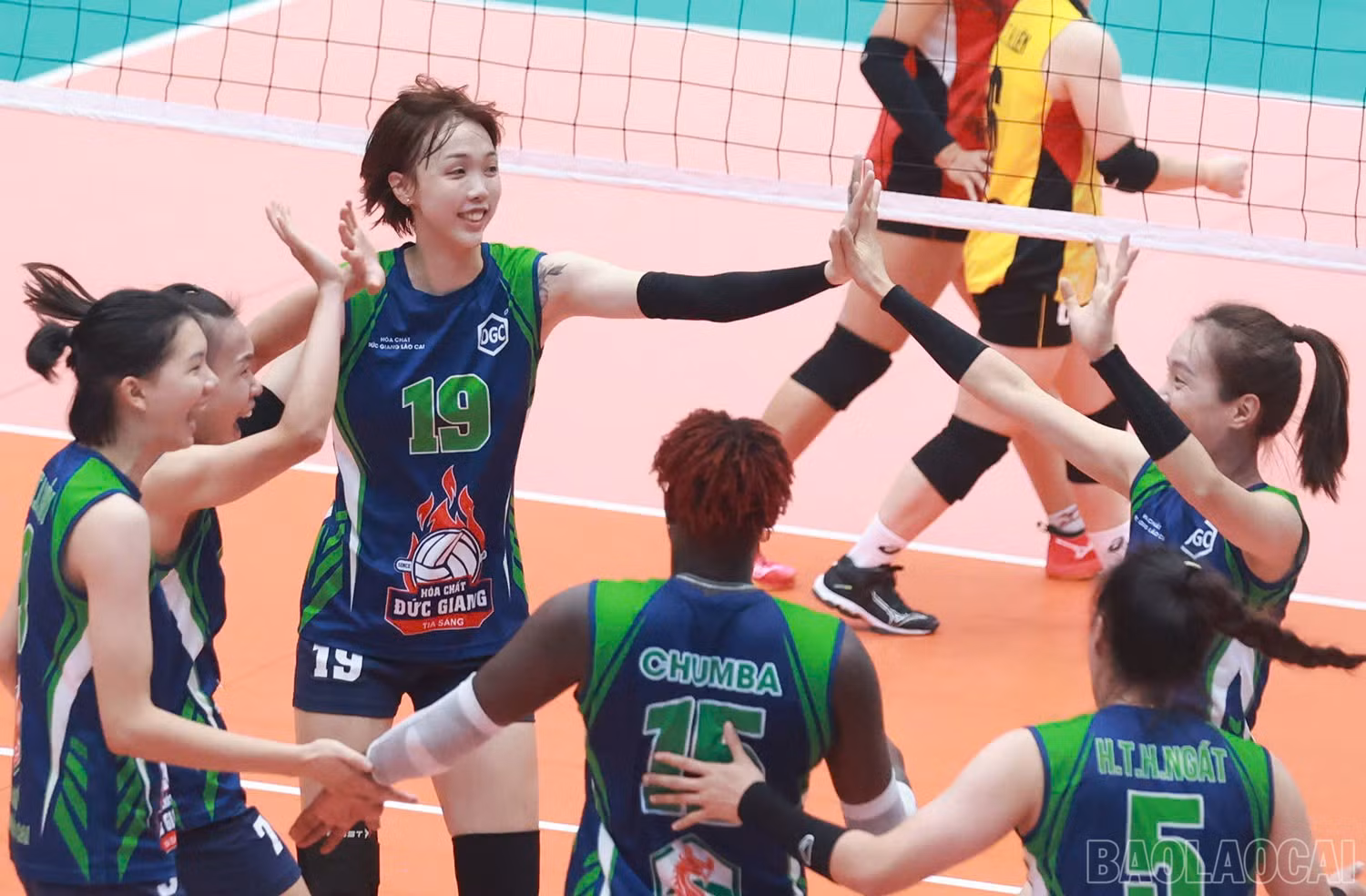 baolaocai-br_z6015953266651-a42193a8409cf1f618ddd168839c6b68.jpg