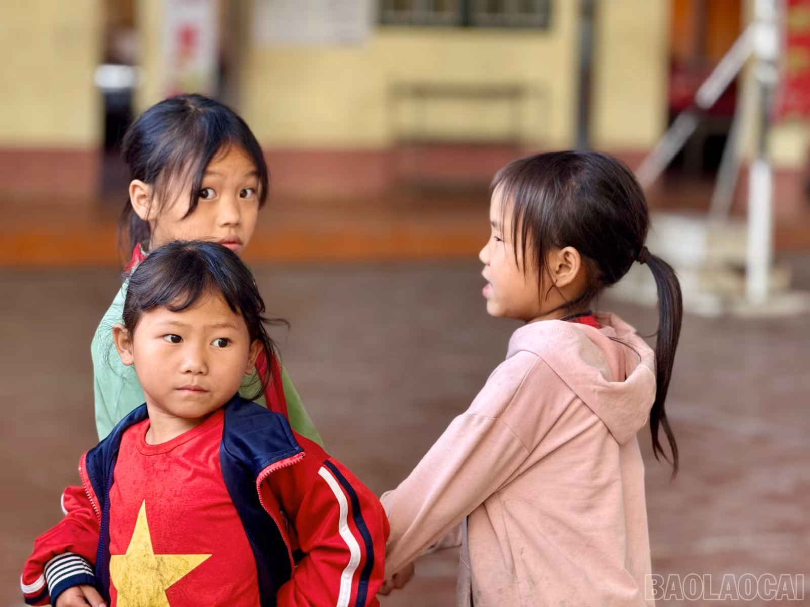 baolaocai-br_z7358041296020-a194e99d5df7f1251eb7696b6d7b8569.jpg