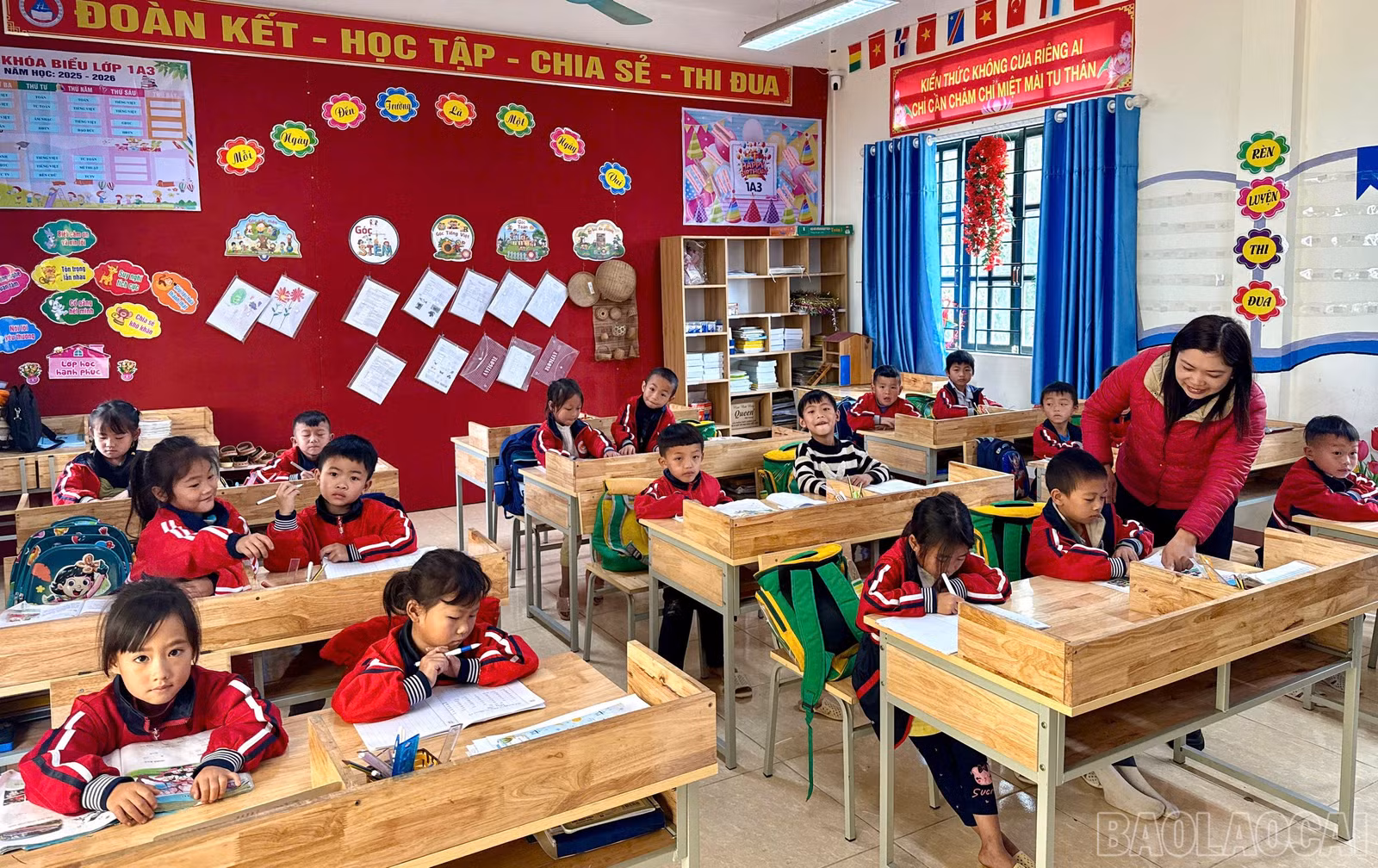 baolaocai-br_z7358044476173-dadb48d4a40a9835aeb4de9606476f7f.jpg