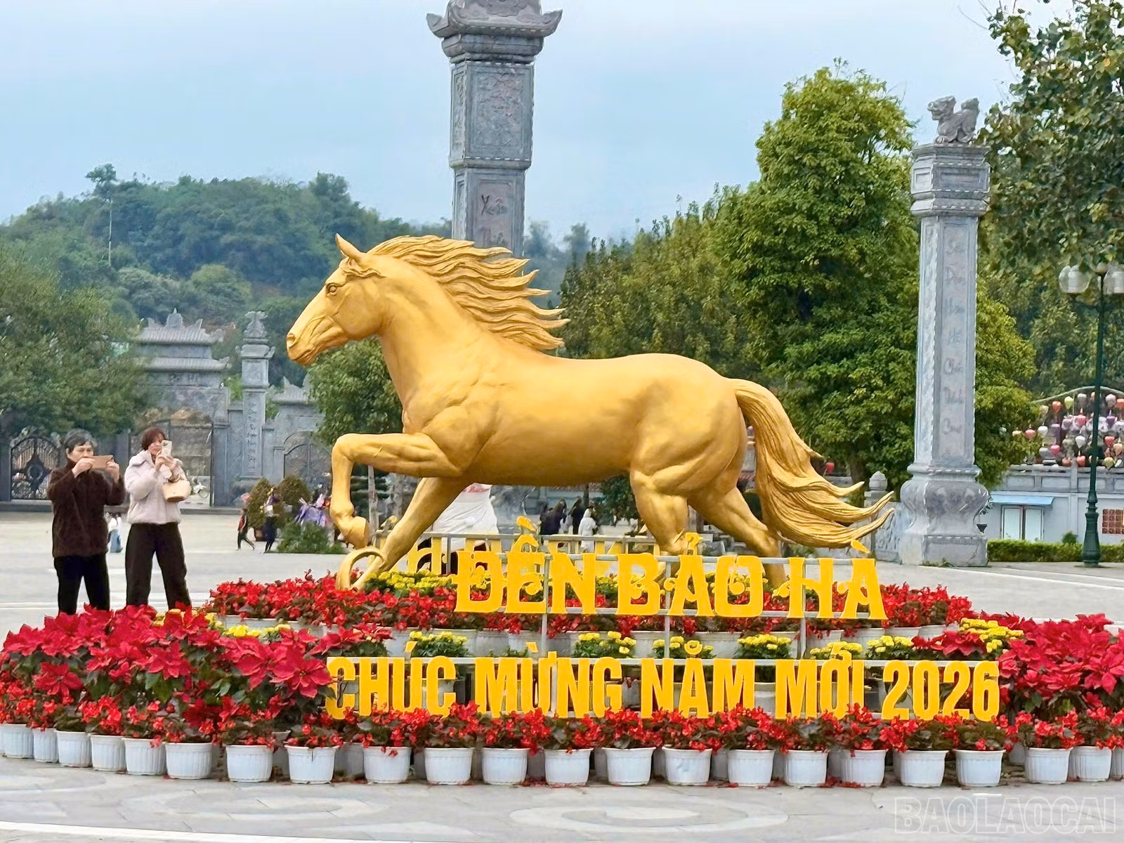 baolaocai-br_z7526280805640-5131f832f6b75c7cc0e98916325985af.jpg