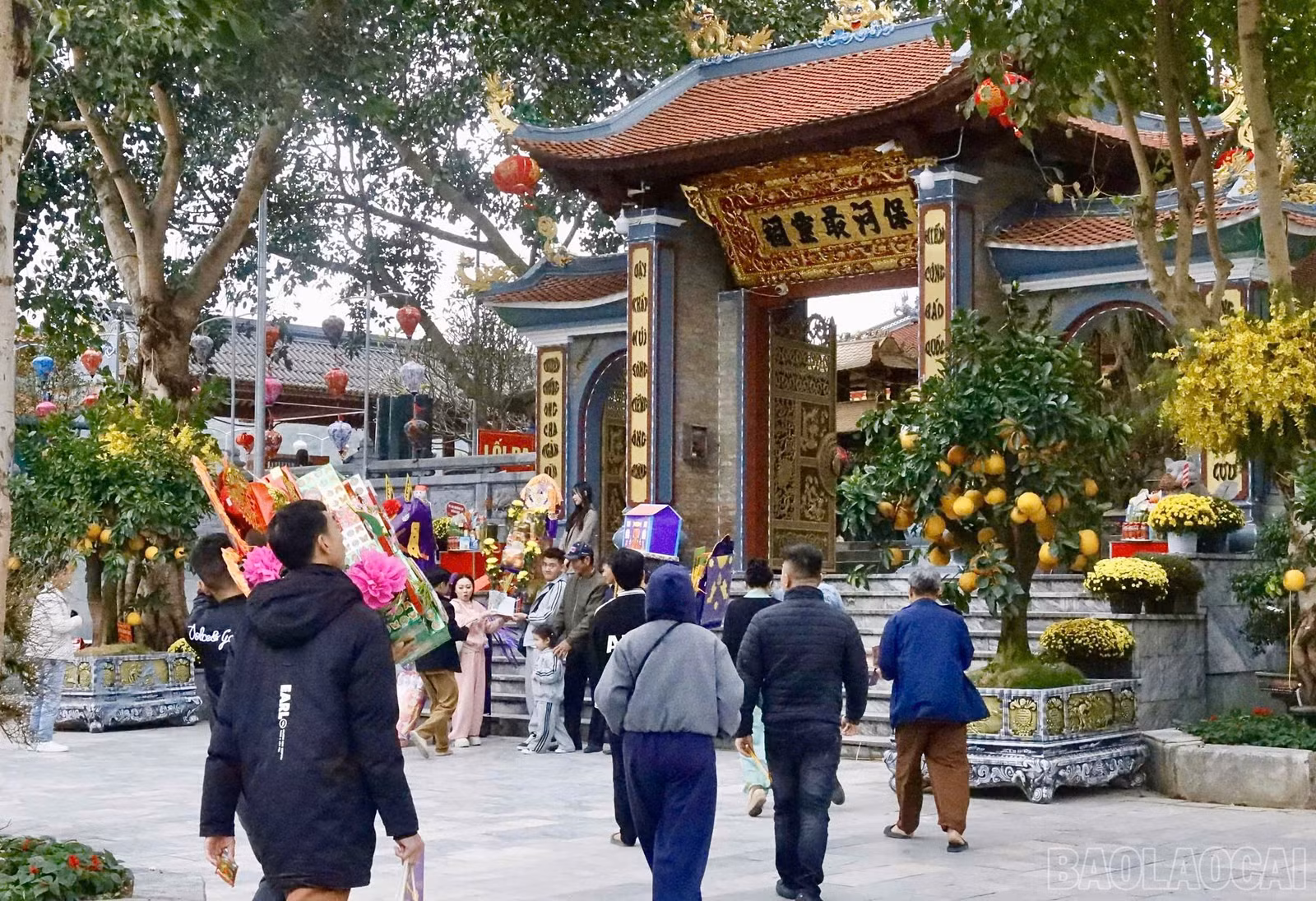 baolaocai-br_z7526280811041-bfb00503b6c5097c6b84367210017dec.jpg