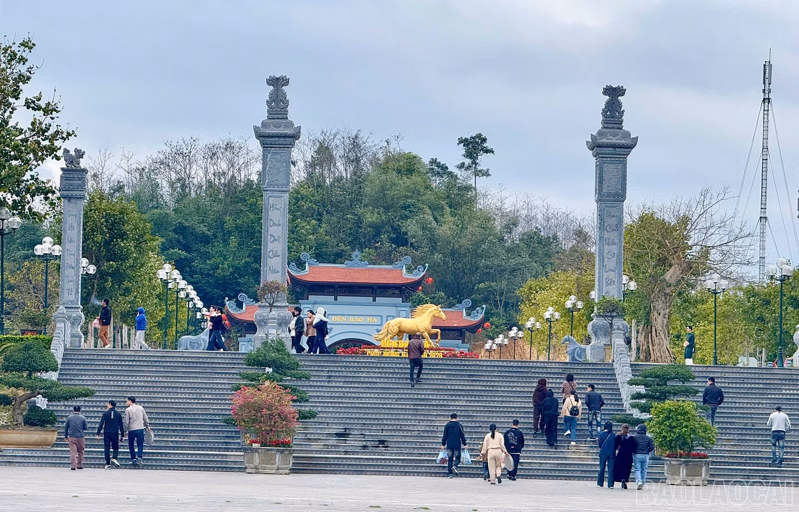 baolaocai-br_z7526280801176-bd43cb98880b0ddac58636496f0fd7f4.jpg
