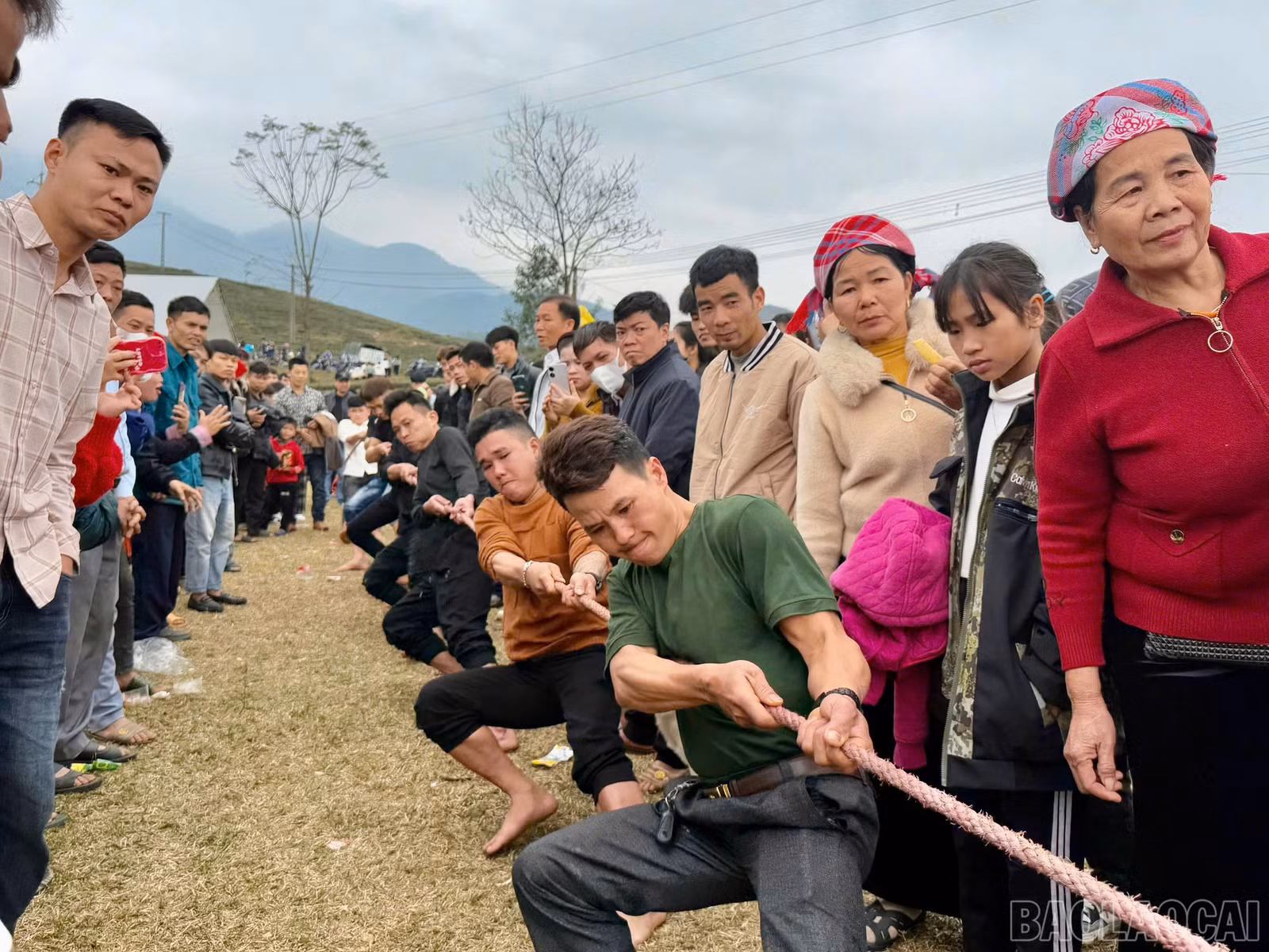 baolaocai-br_z6281611704500-7280194e38f2bd6efa93d801b2055f22.jpg
