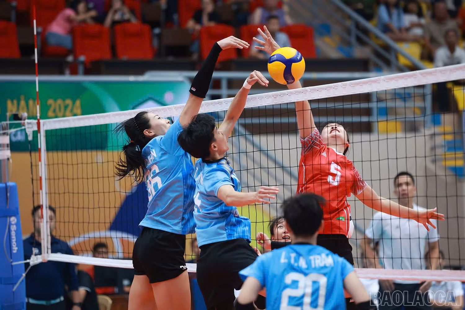 baolaocai-br_z6018335143092-78d442ba8869527f4fd506bddbdcd394.jpg
