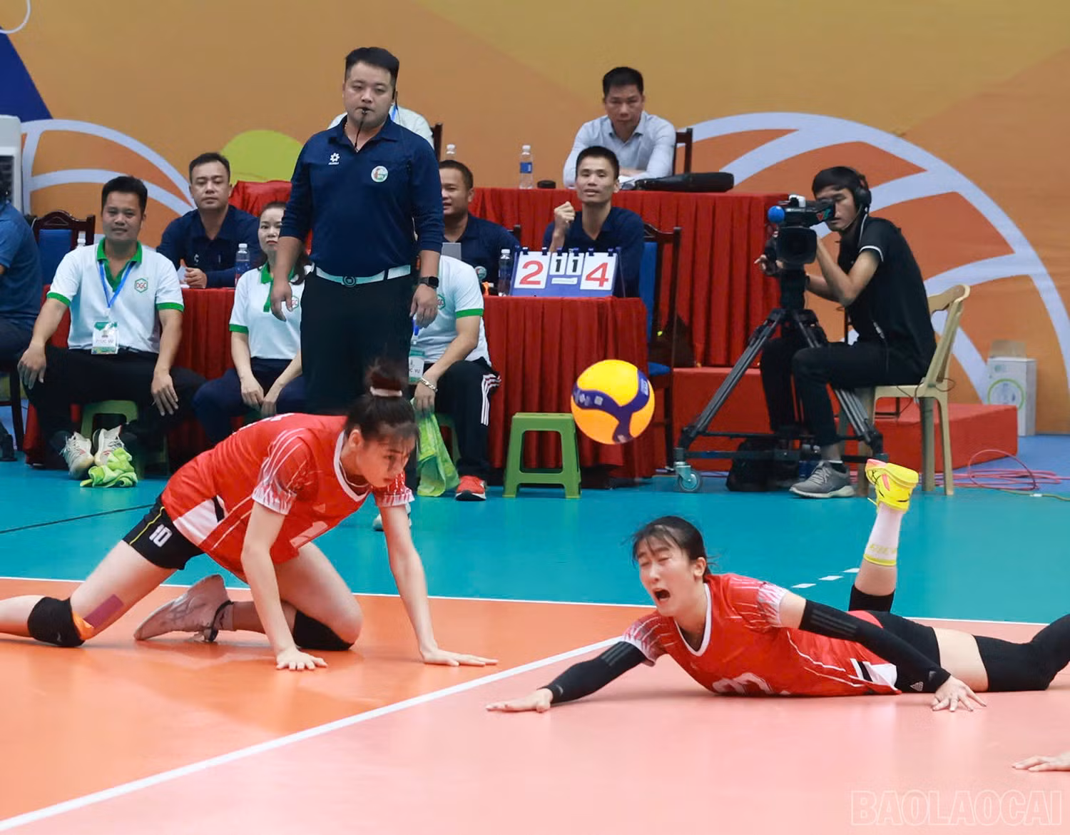 baolaocai-br_z6018335100113-75a8f6a1e6e09222c89f4cc7e4e0b0f9.jpg