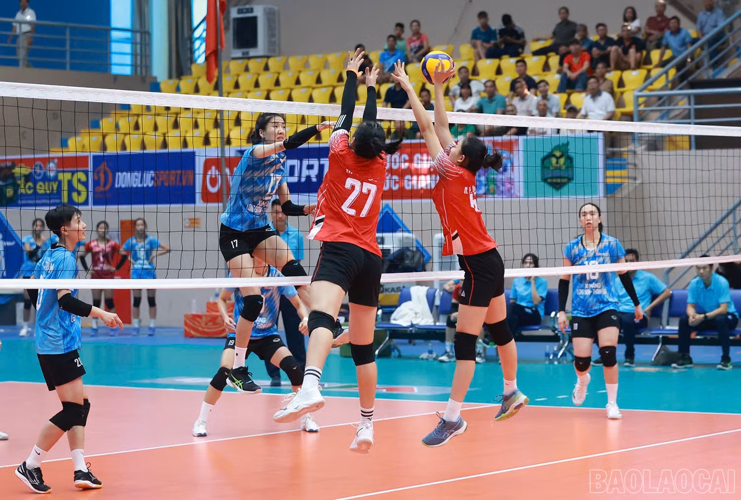baolaocai-br_z6018334928987-673ef15696e4f760ee907ed25acdbfc4.jpg