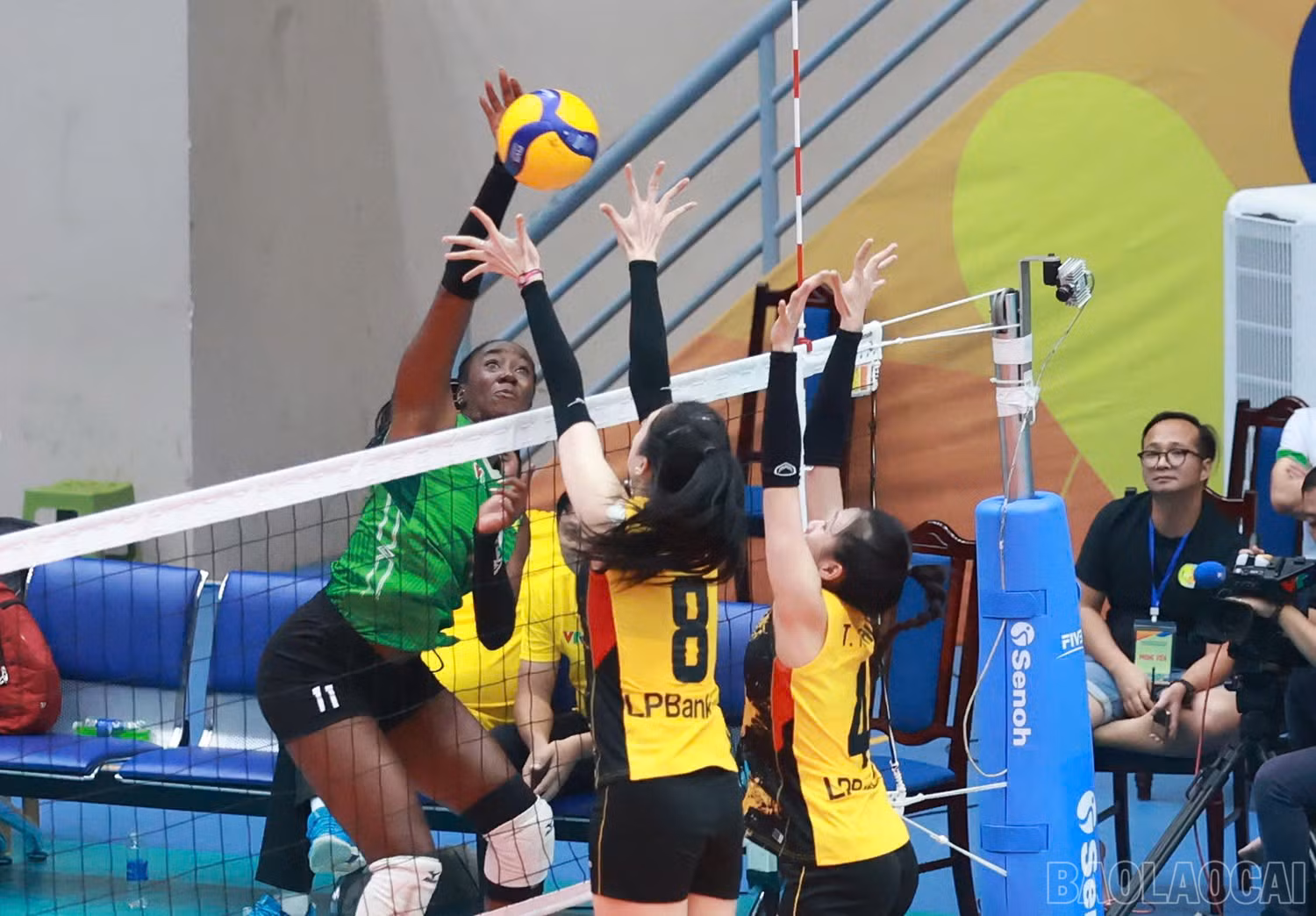baolaocai-br_z6018746400065-92ac539e2f1638b7b33d47f96977a2dc.jpg