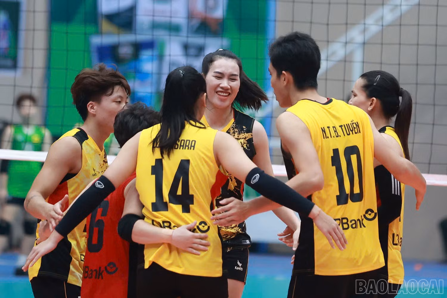 baolaocai-br_z6018745777631-f2e3a29f1c2894eabea1b9b004e32aa5.jpg