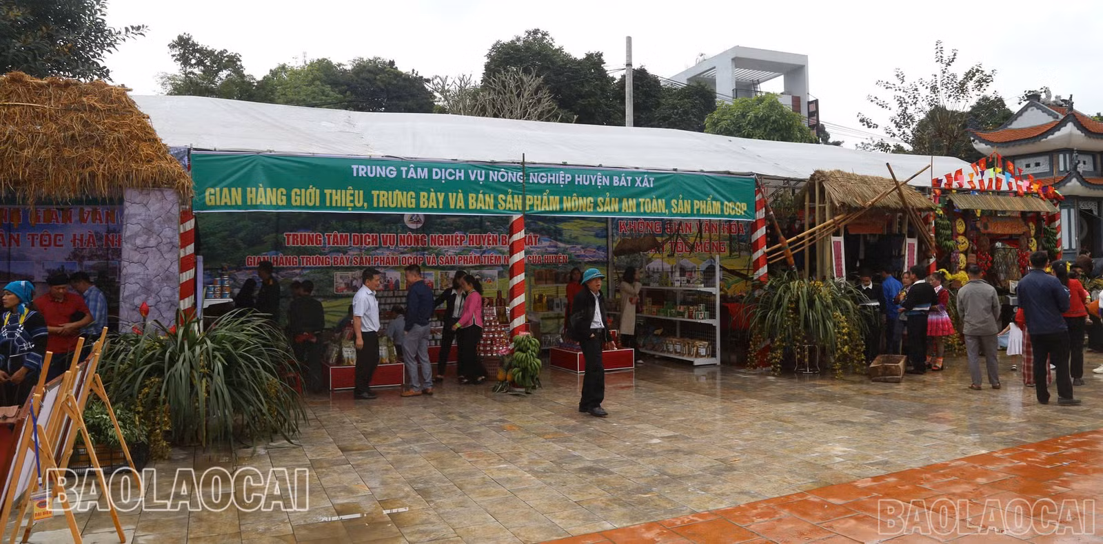 baolaocai-br_z6479060172652-eb67e7d973cc1ef487741b8492fca225.jpg
