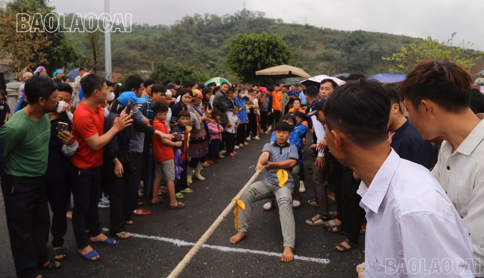 baolaocai-br_z6479023847178-a2fa6b653aacfd4a16f2d331b9f675b6.jpg