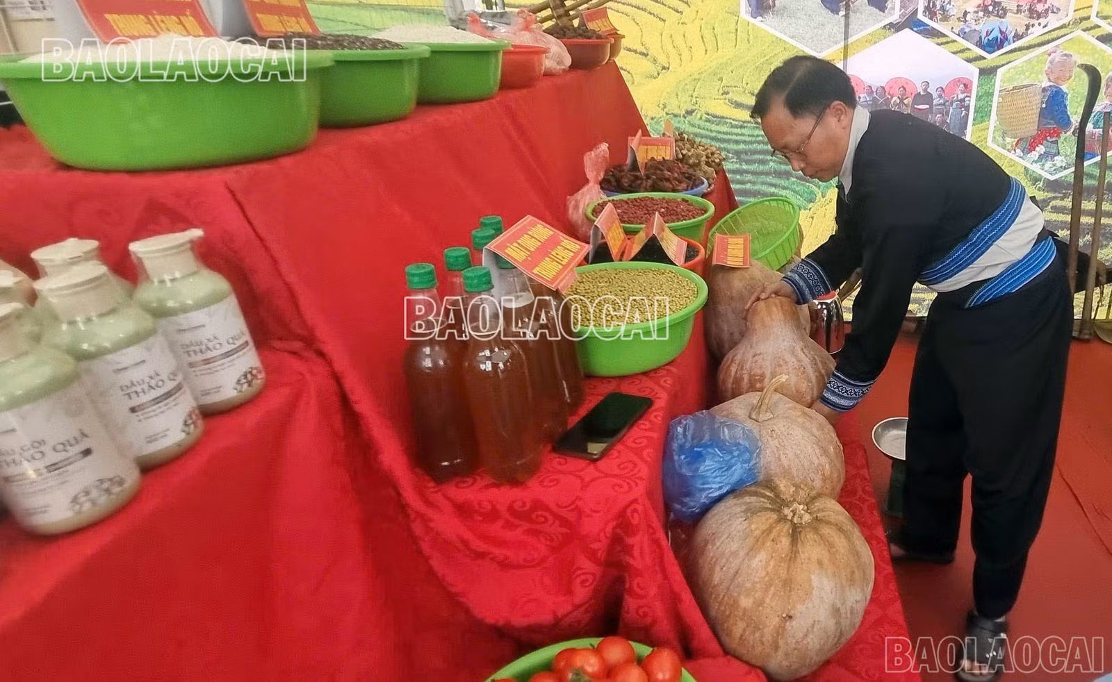 baolaocai-br_z6479060337925-a07291b4fe503dfe4c9c9f299c4b727d.jpg