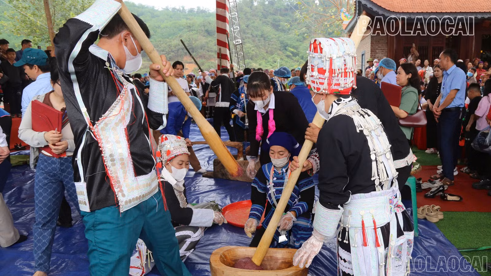 baolaocai-br_z6479024370842-92f6c3b45ffff96a14c1e850c7dfe145.jpg