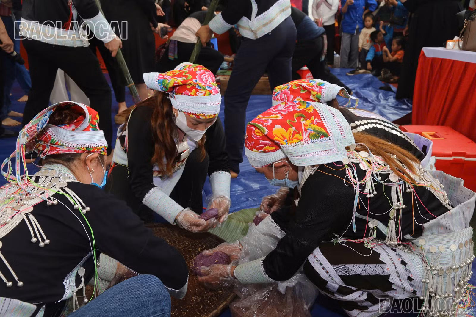 baolaocai-br_z6479024492025-e53d1ca2937bd4265243581f2585e1f0.jpg