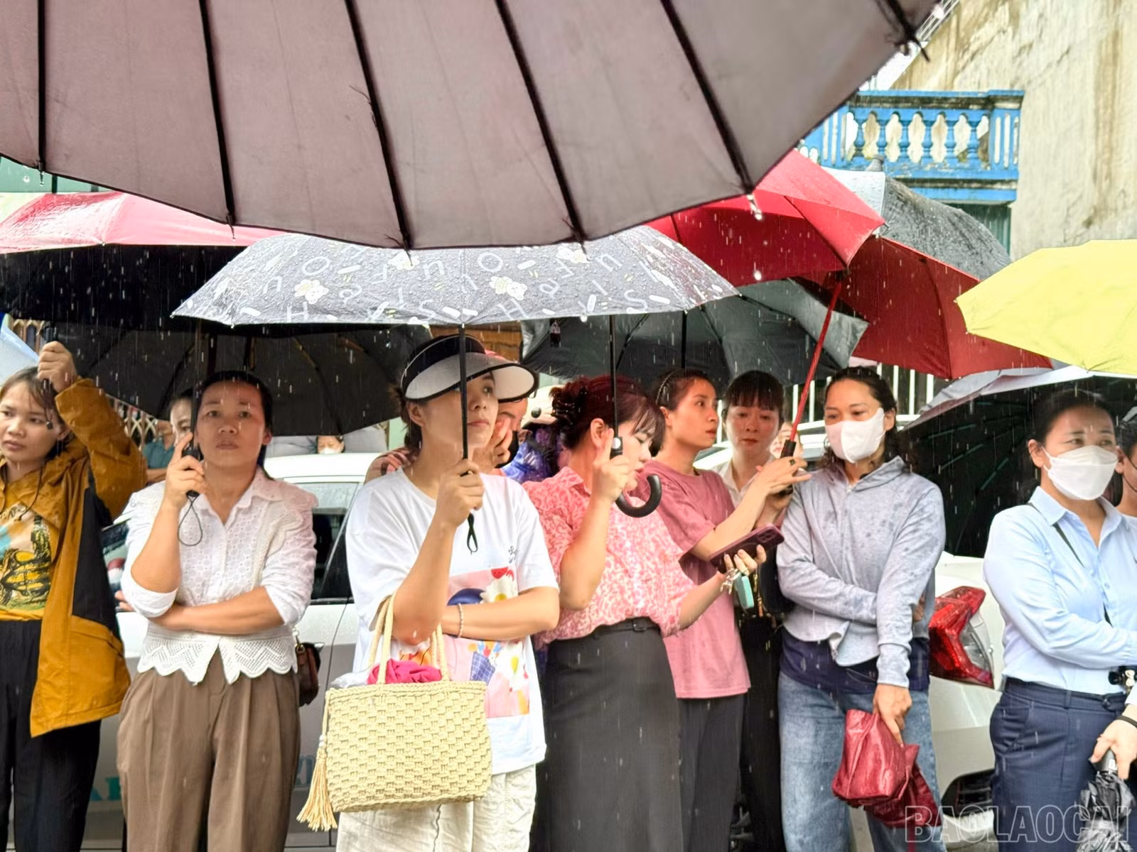 baolaocai-br_z6670247398119-8ae5ae411b19949c252e57835780b048.jpg
