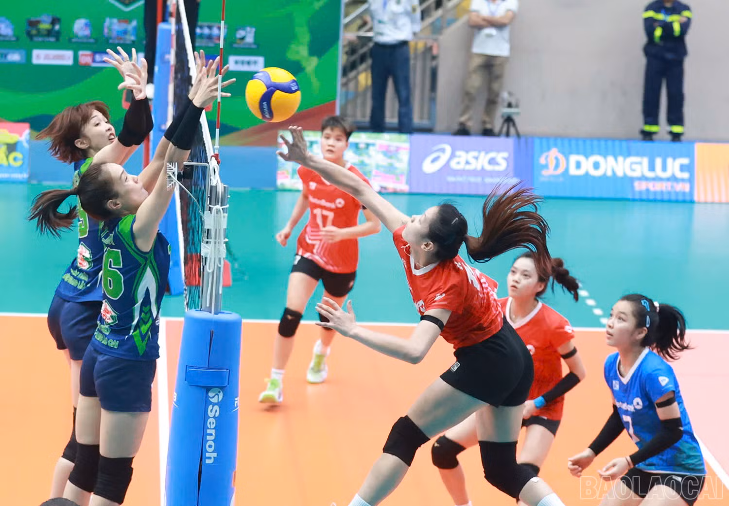 baolaocai-br_z6026244427612-1c87955469488ca1cc04a1143d4ff63f.jpg