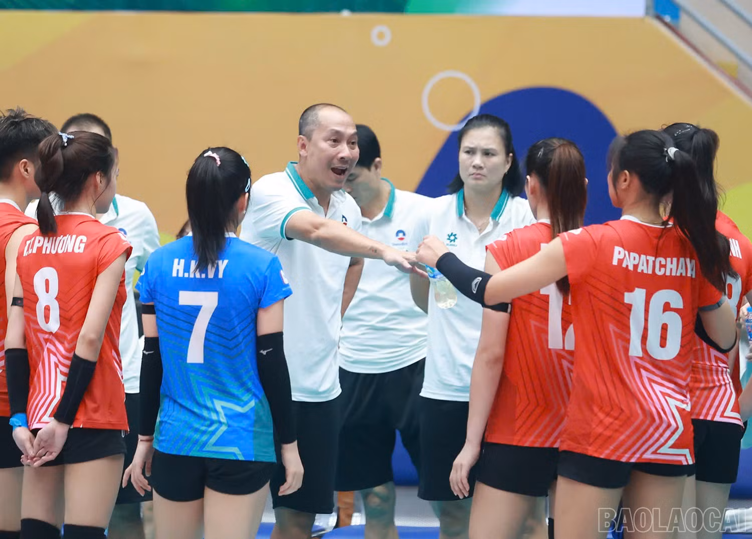 baolaocai-br_z6026244368965-ae88408c4f52ced8f83554973f8a4c53.jpg