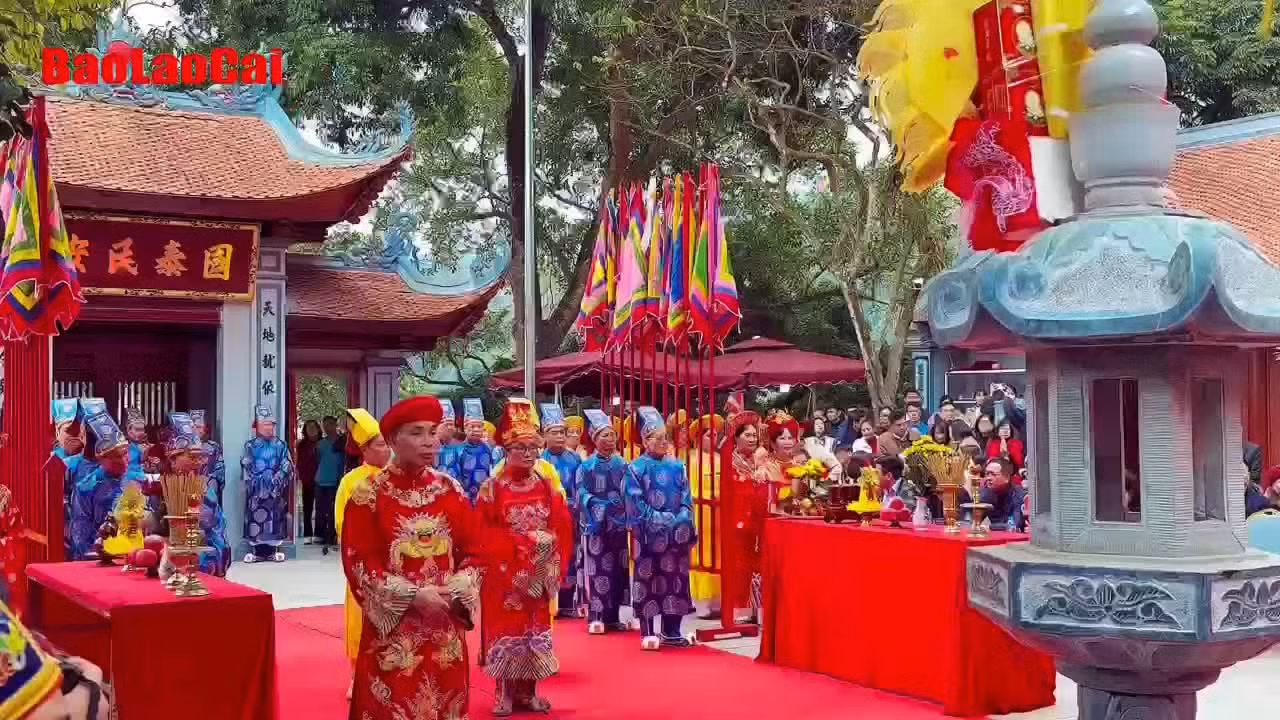 baolaocai-br_6307587871107.jpg