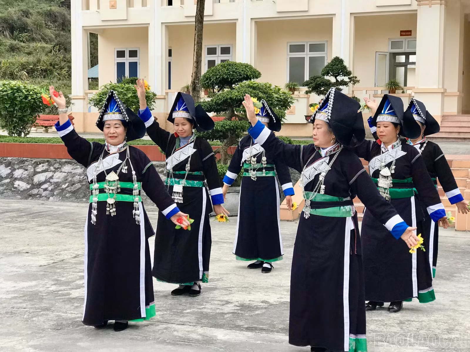 baolaocai-br_z6298308563594-0efb650d6ac822b7ccf333553d16efd9.jpg