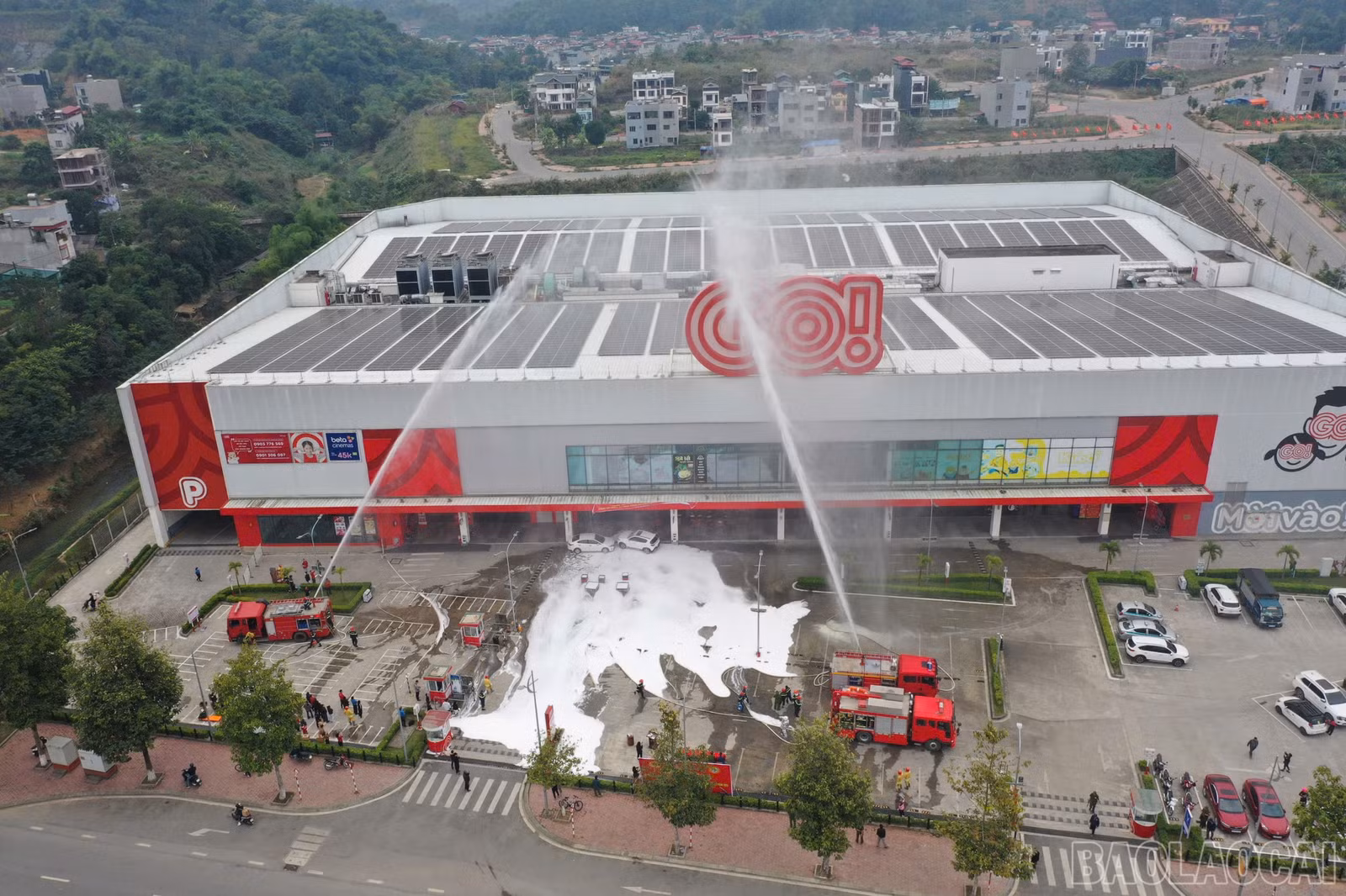 baolaocai-br_z6139422259351-db28b91b628cd0f7678ddbf83c495b8d.jpg