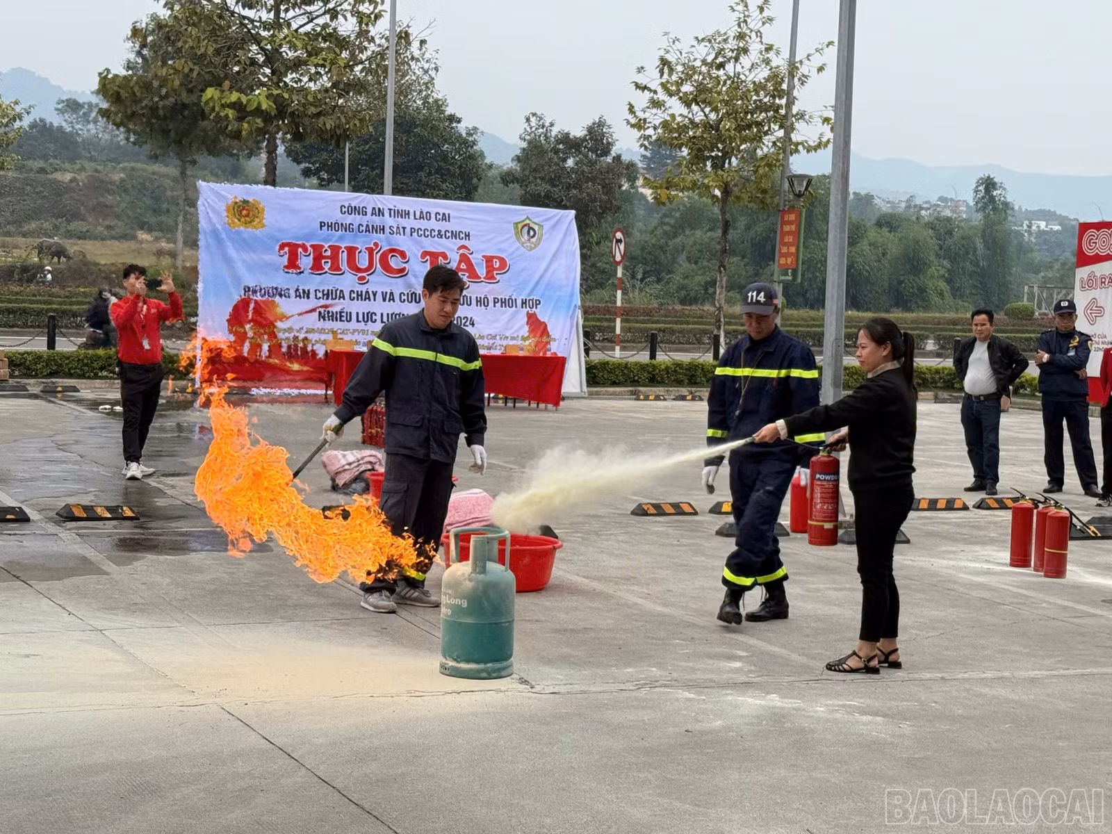baolaocai-br_z6139422275573-1f34442dee72041cab604cc8e0646889.jpg