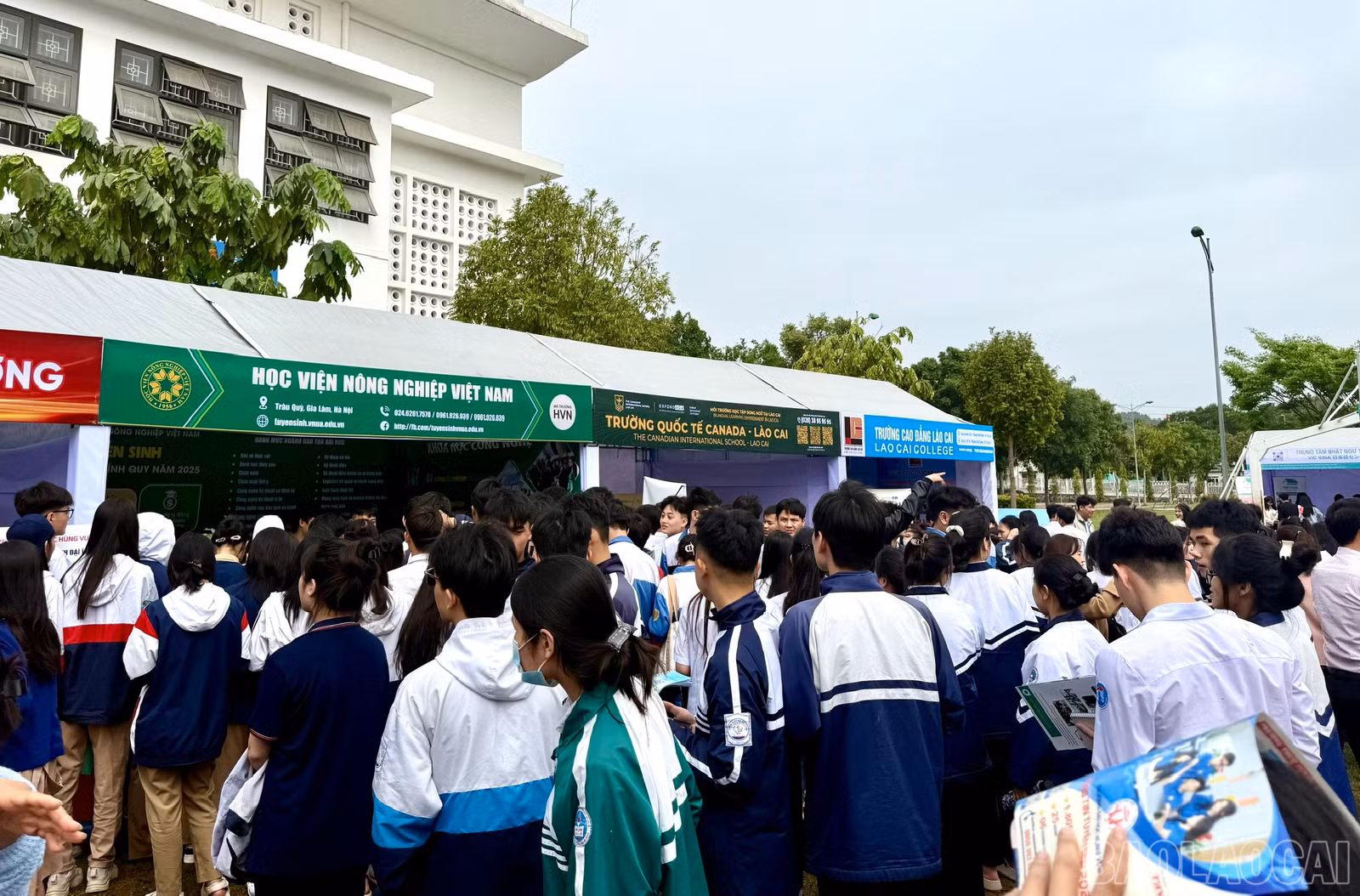 baolaocai-br_z6500304227113-b4e8a0a003e82e2fa83d1ee602602a4a.jpg
