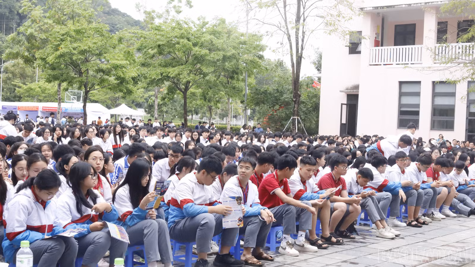 baolaocai-br_mg-9908.jpg