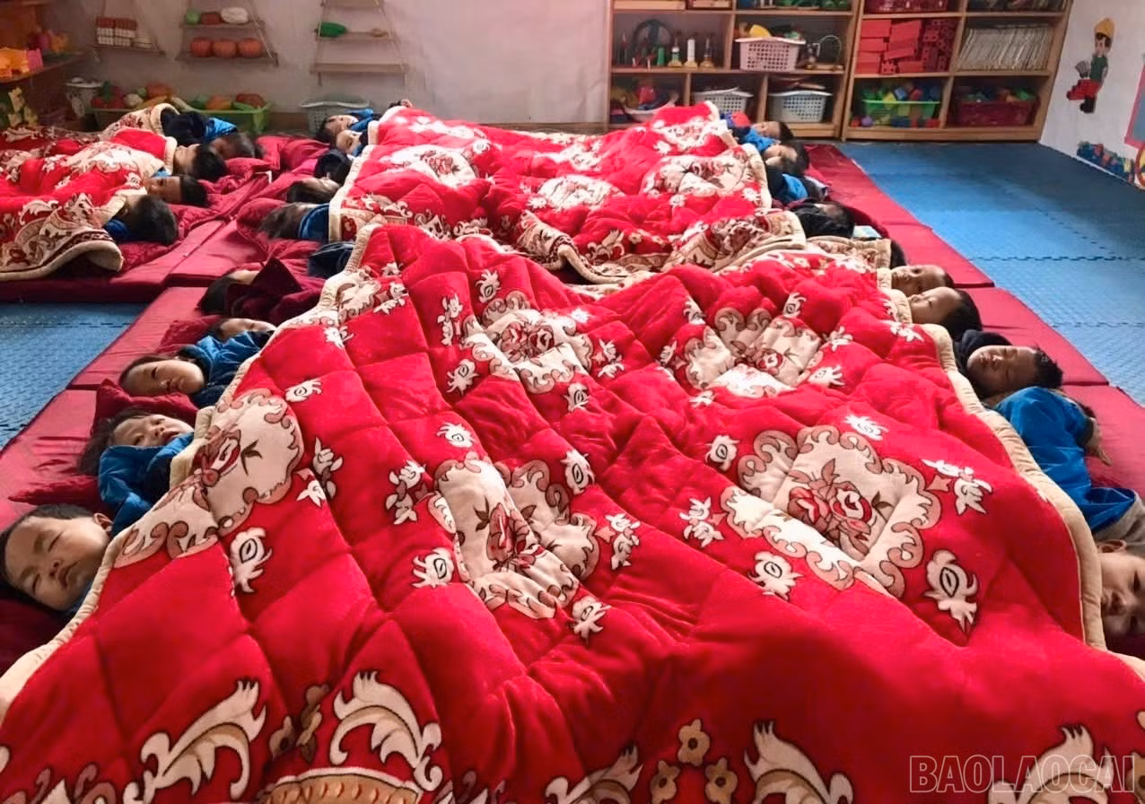 baolaocai-br_z7411297495932-56b3433aa0dbbcfaed3822e2e82fe57e.jpg