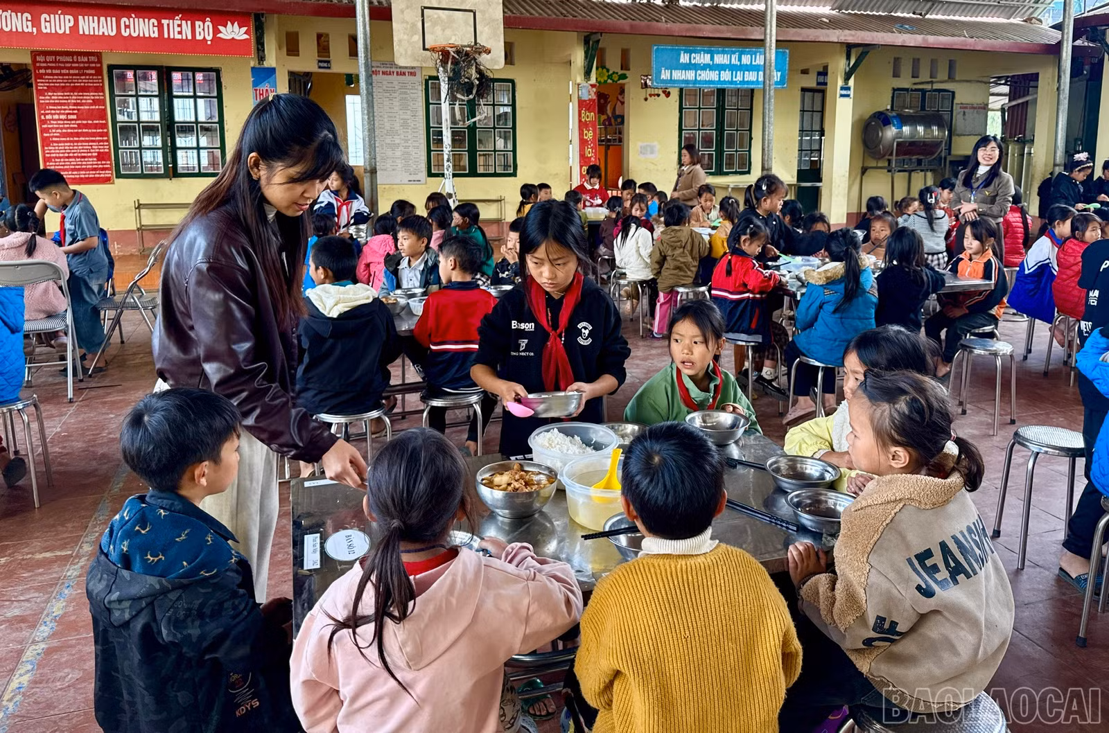 baolaocai-br_z7411431850376-3fbbe97089846d6501011f08058b216b.jpg