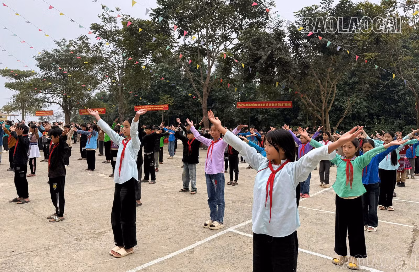 baolaocai-br_z6260970444607-5e313d7e80f2a426a3c0ec1dc9e8055d.jpg
