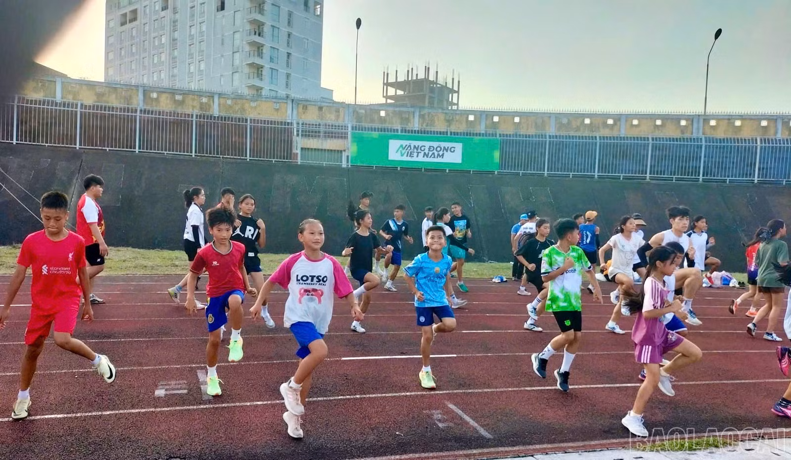 baolaocai-br_z6699218446579-2563e9d122ca094e38e92894f1569409.jpg