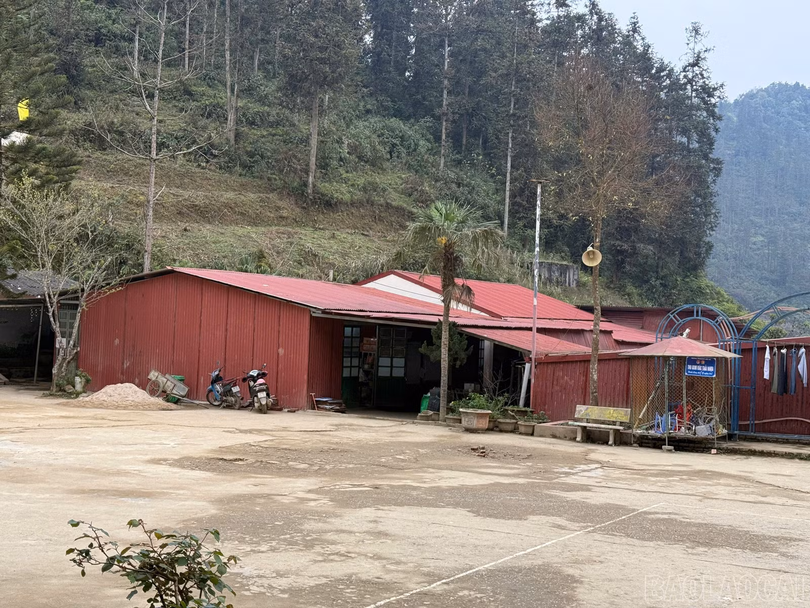 baolaocai-br_z7656459472891-4b8022cb29a146aaff0b61c3cde03606.jpg