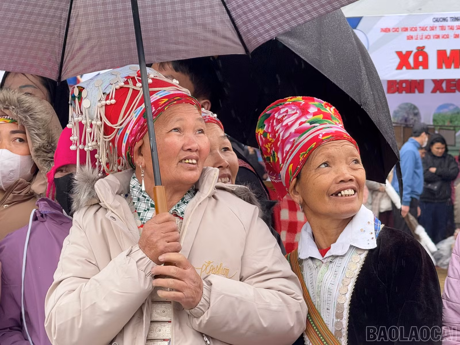baolaocai-br_z6301383271210-f01508e481e41379e26611e8df6edc84.jpg