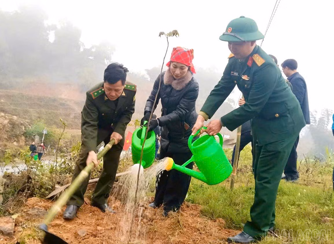 baolaocai-br_z7518779032687-b1e9db0f6db997e4a8a0996080fd83b9.jpg
