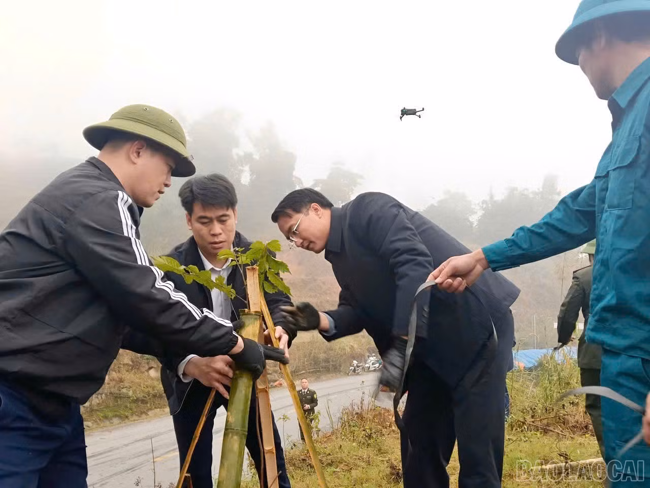 baolaocai-br_z7518779047860-a013bda005667cbc34936b3e2ccfc938.jpg