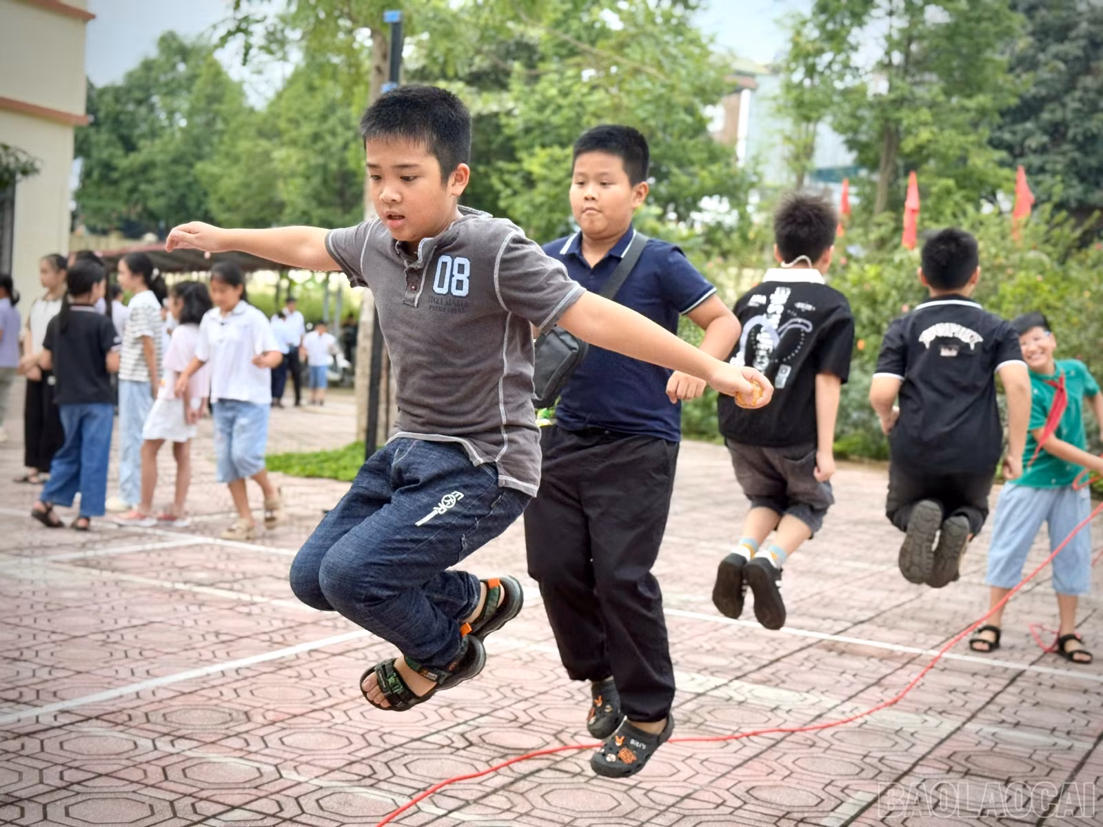 baolaocai-br_z6753109342616-f674ad836f4a60465fe2de71ba25398b.jpg